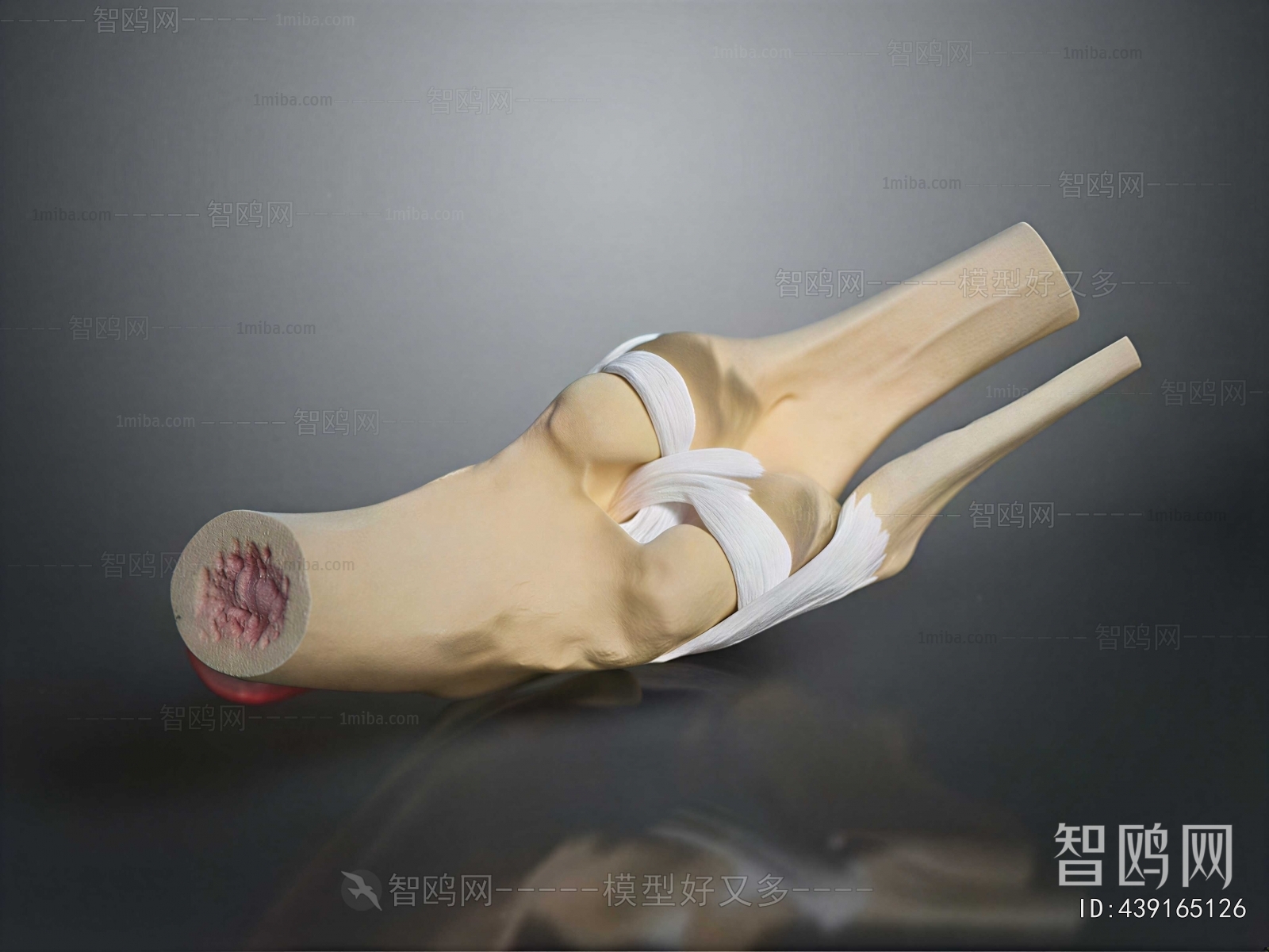 Modern Medical Equipment