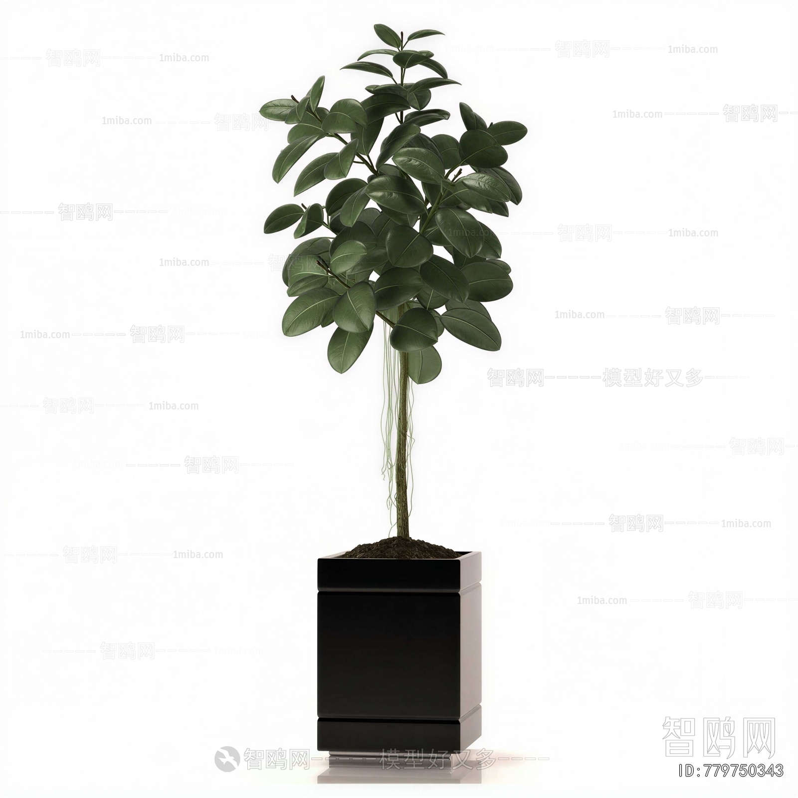 Modern Ground Green Plant Potted Plants