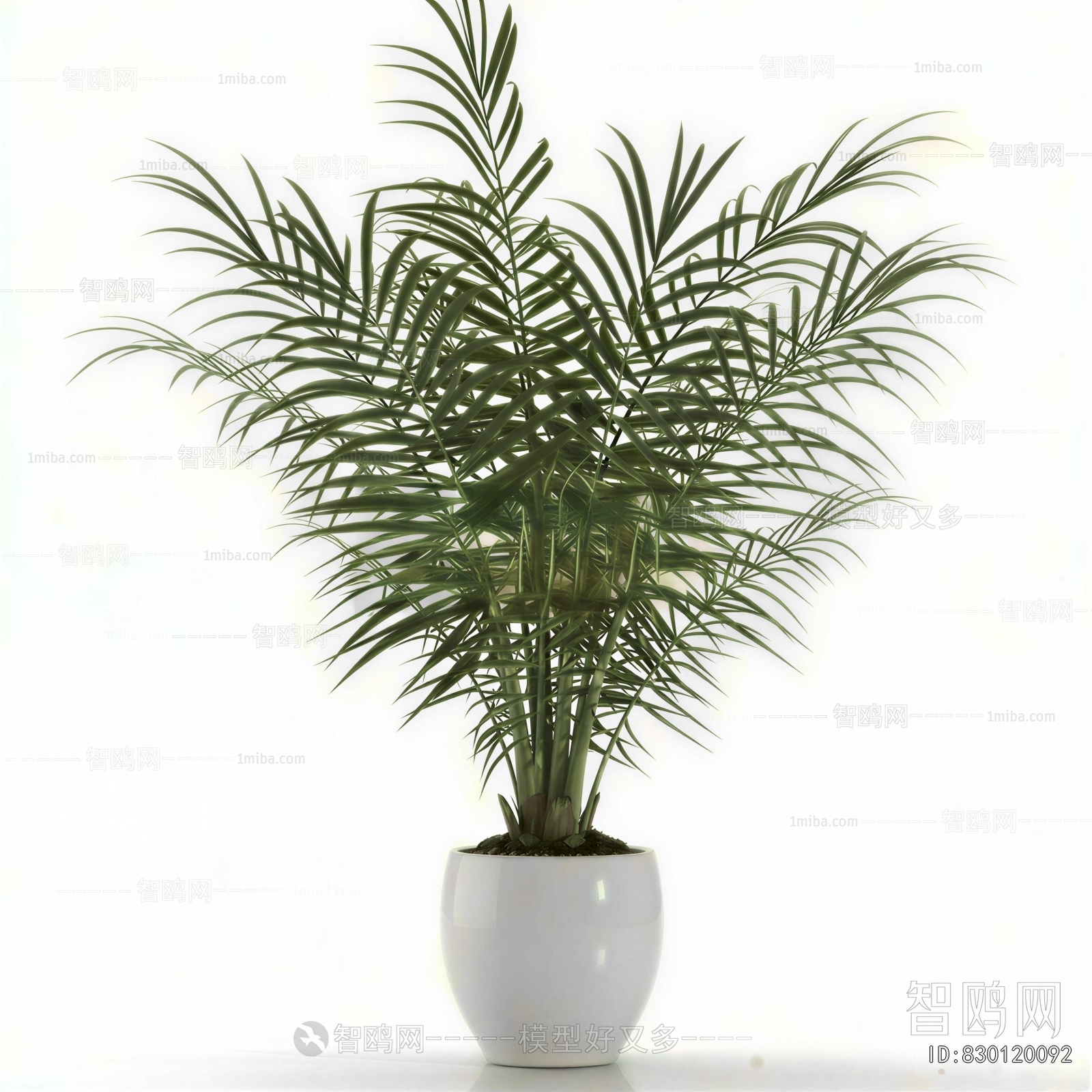 Modern Ground Green Plant Potted Plants