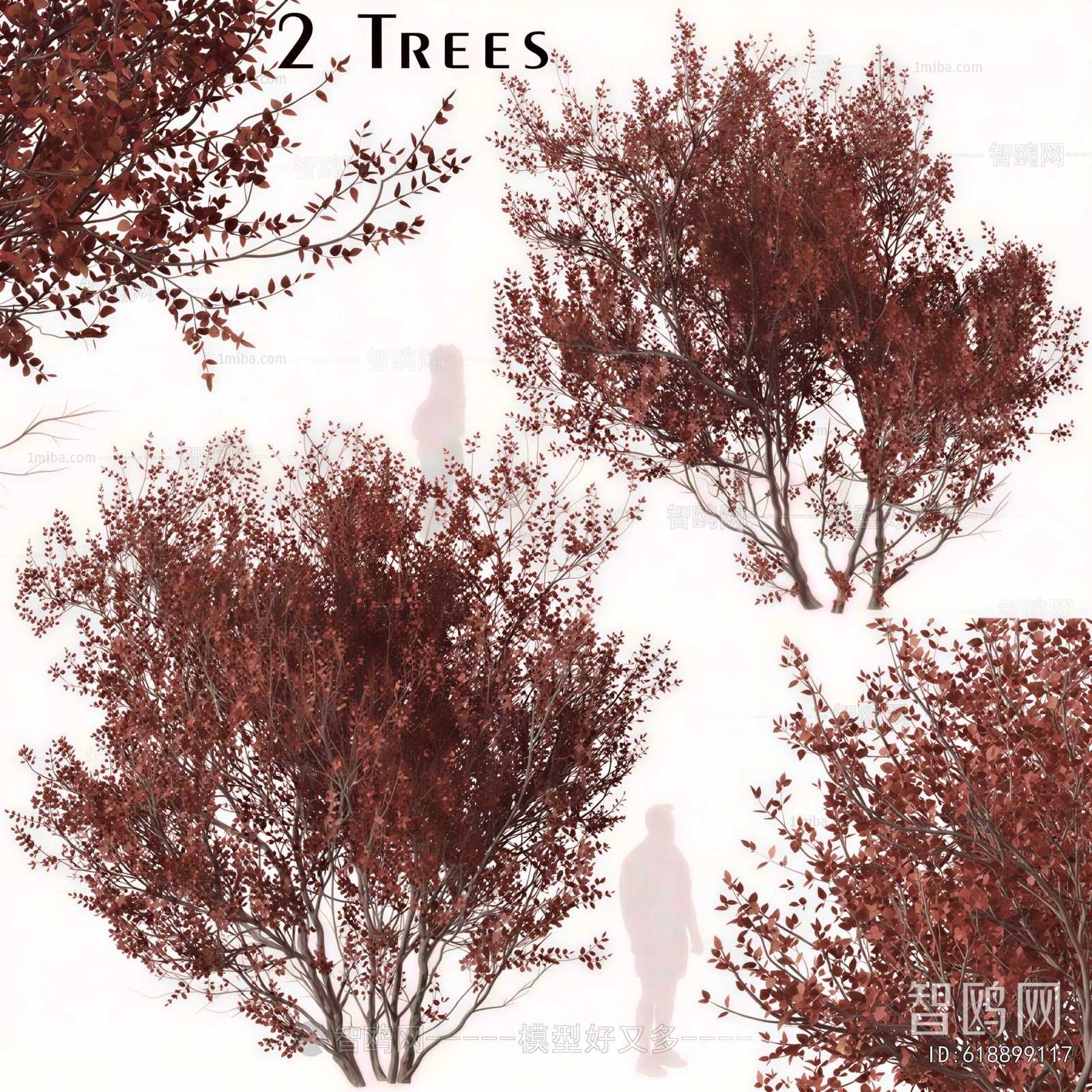 Modern Tree