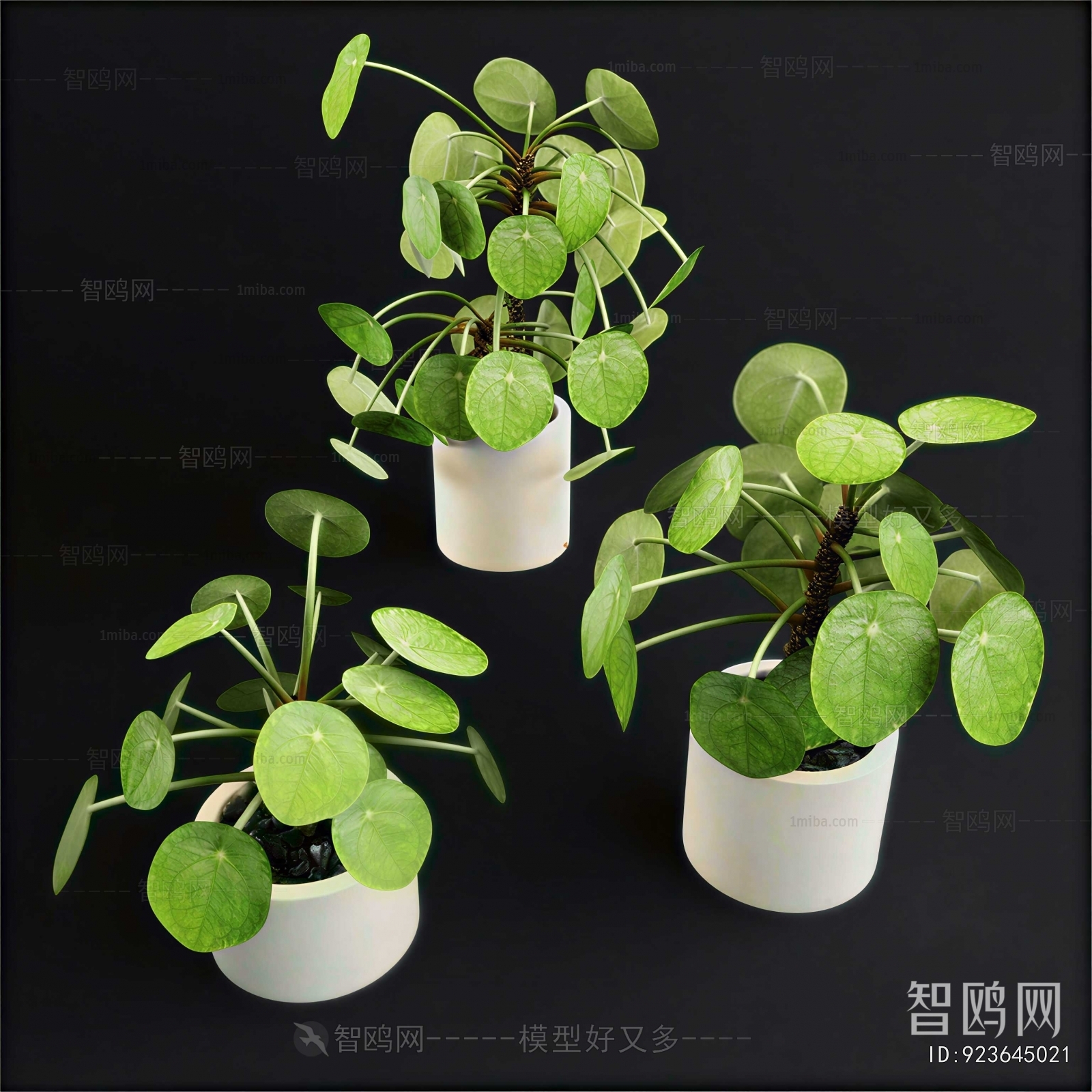 Modern Desktop Plant