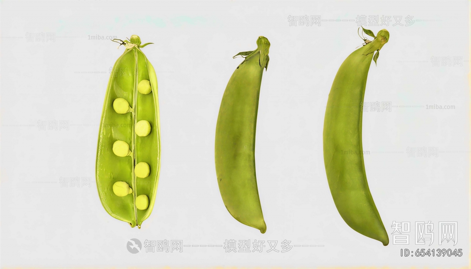 Modern Vegetables