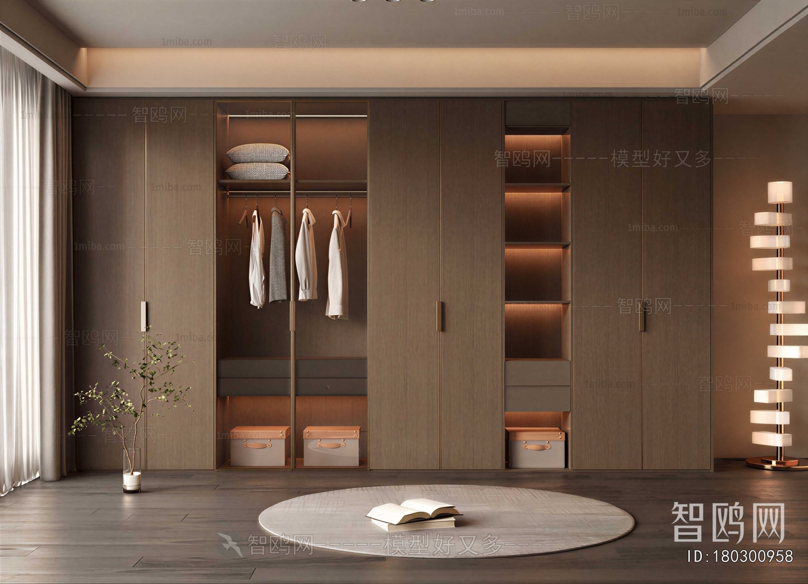Modern Clothes Storage Area