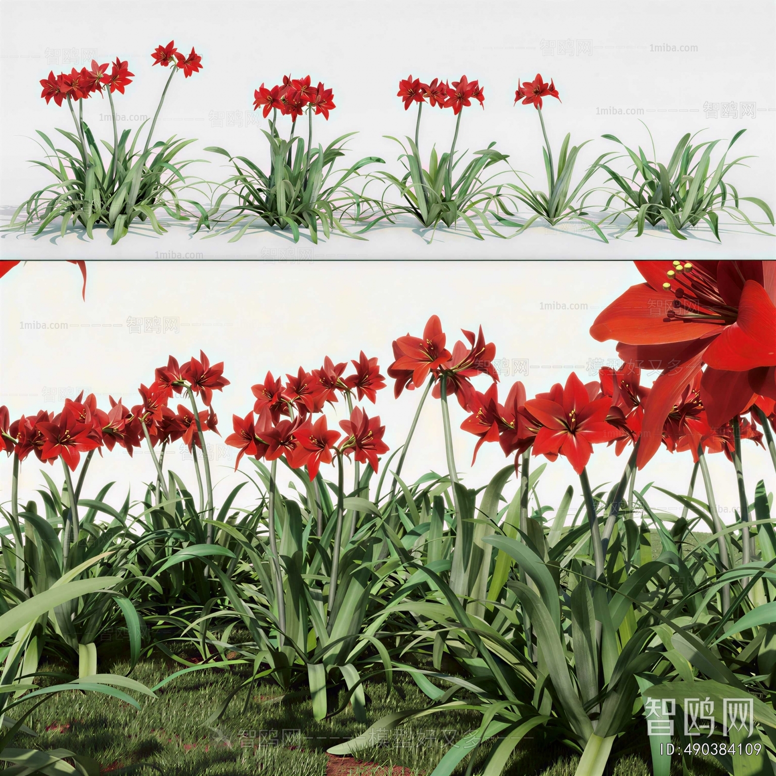Modern Flowers And Grass