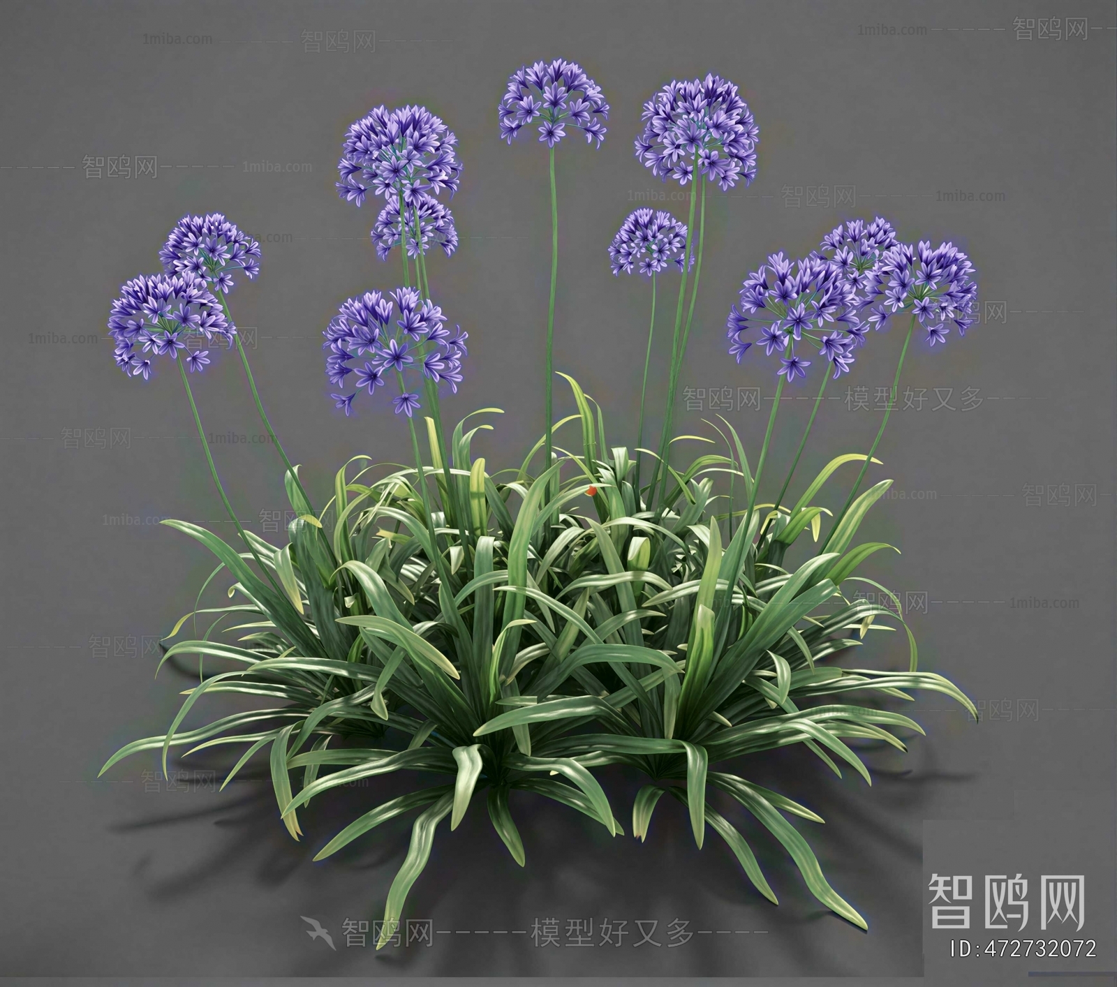 Modern Flowers And Grass