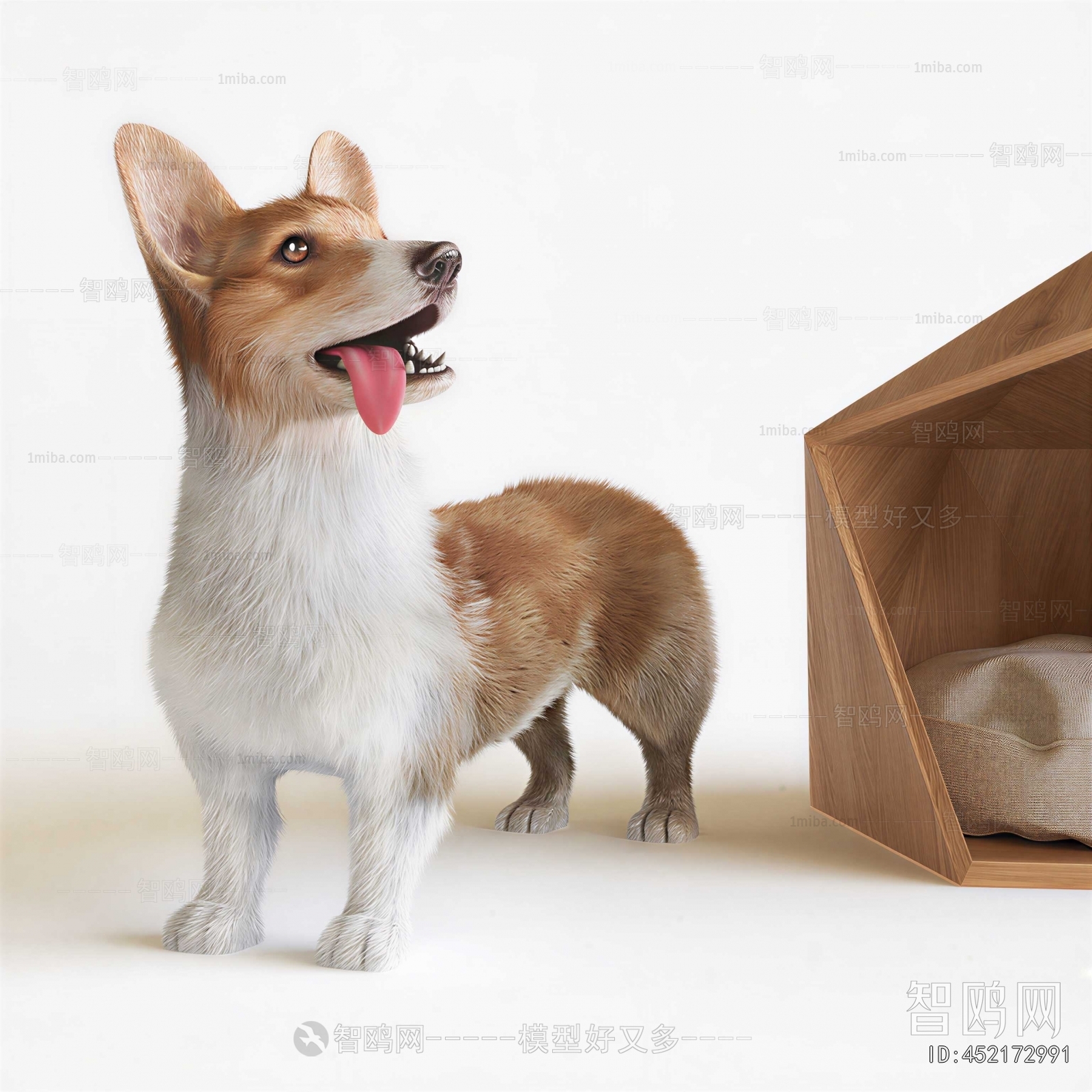Modern Animal Dog