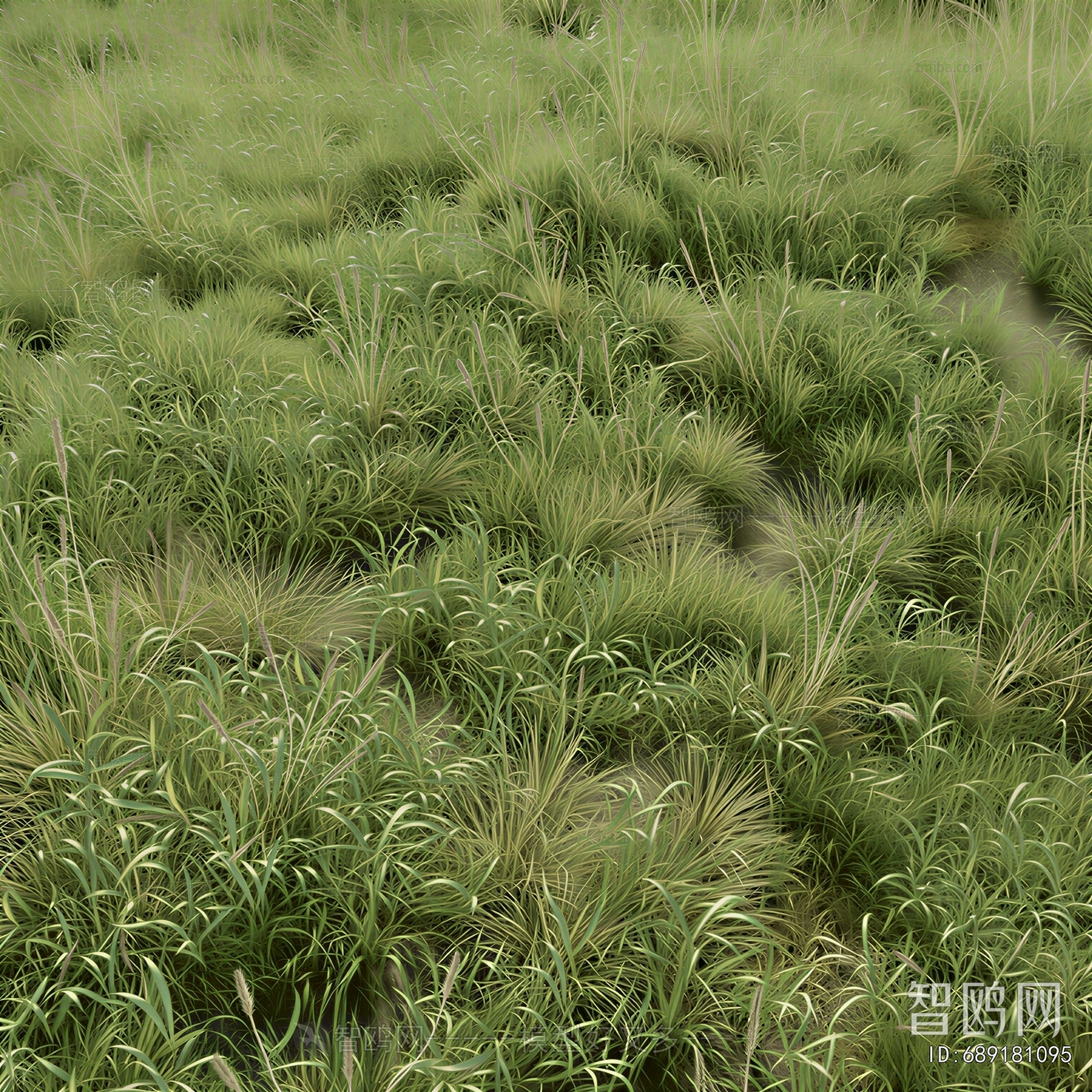 Modern Flowers And Grass