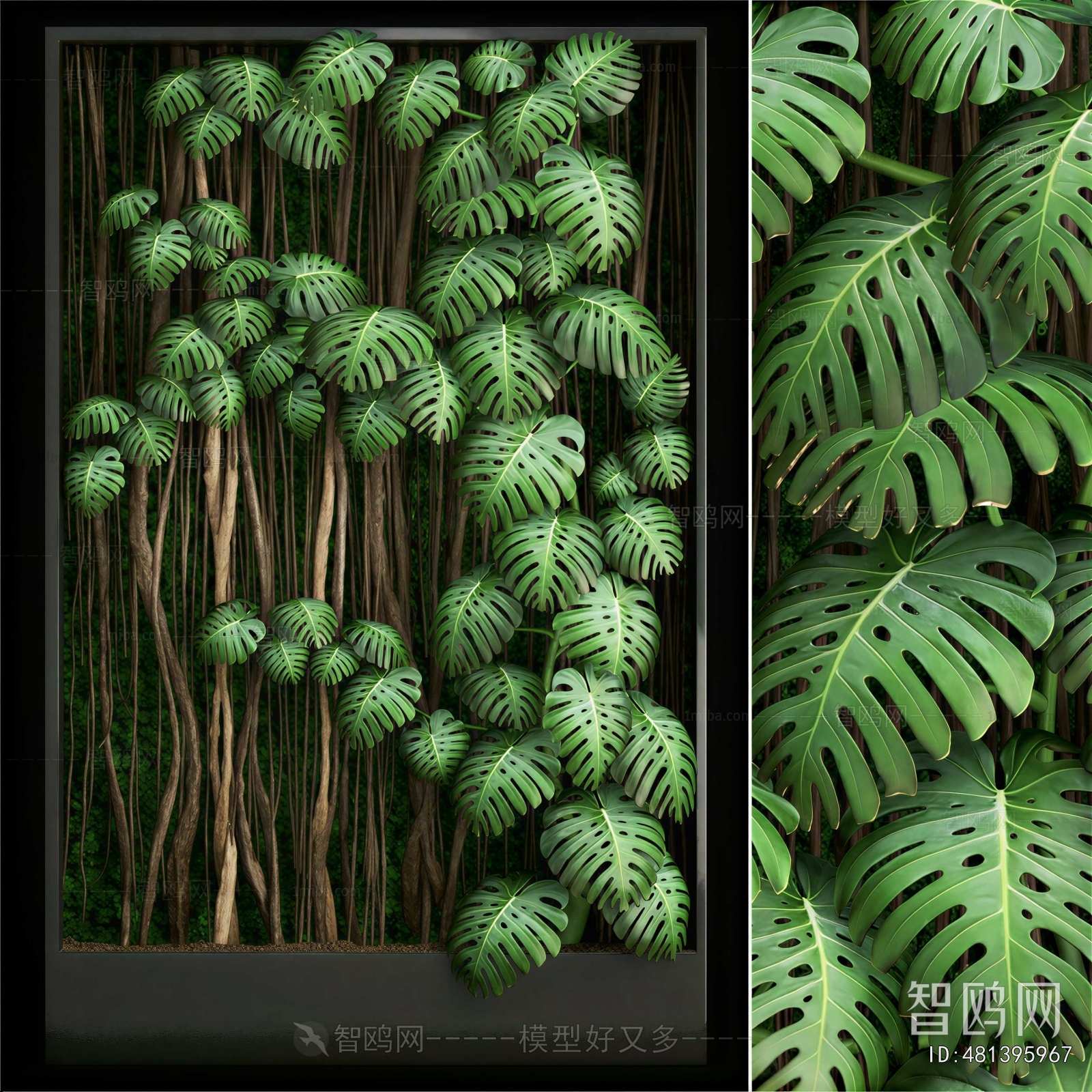 Modern Plant Wall