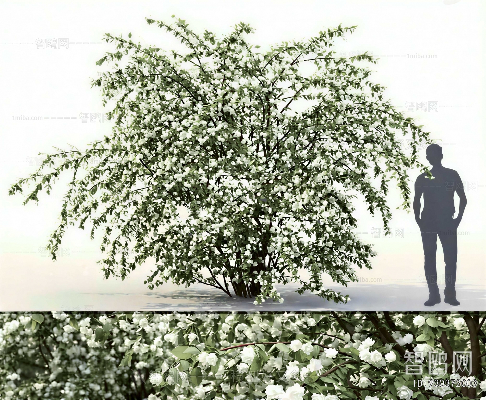 Modern Shrubbery