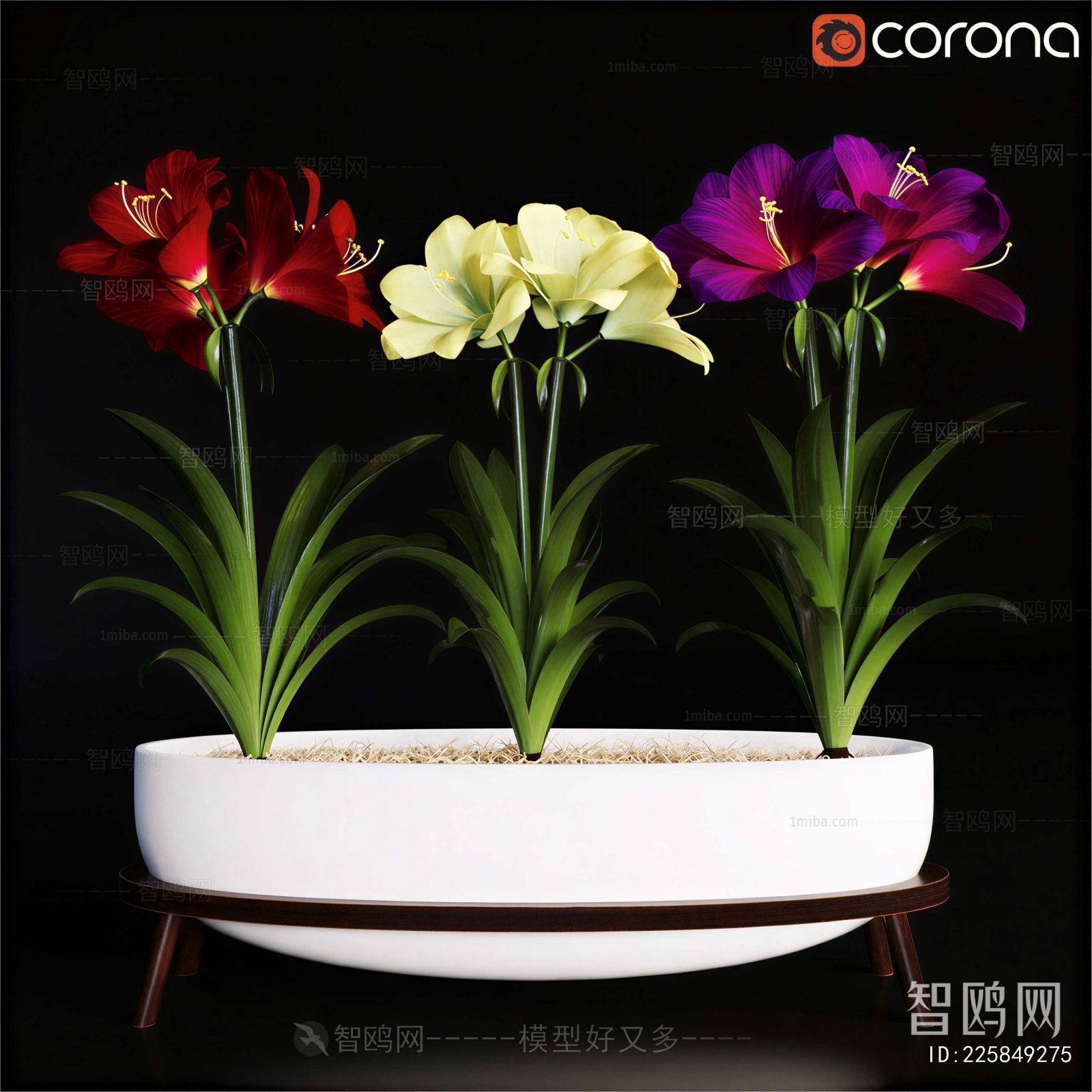 Modern Bonsai