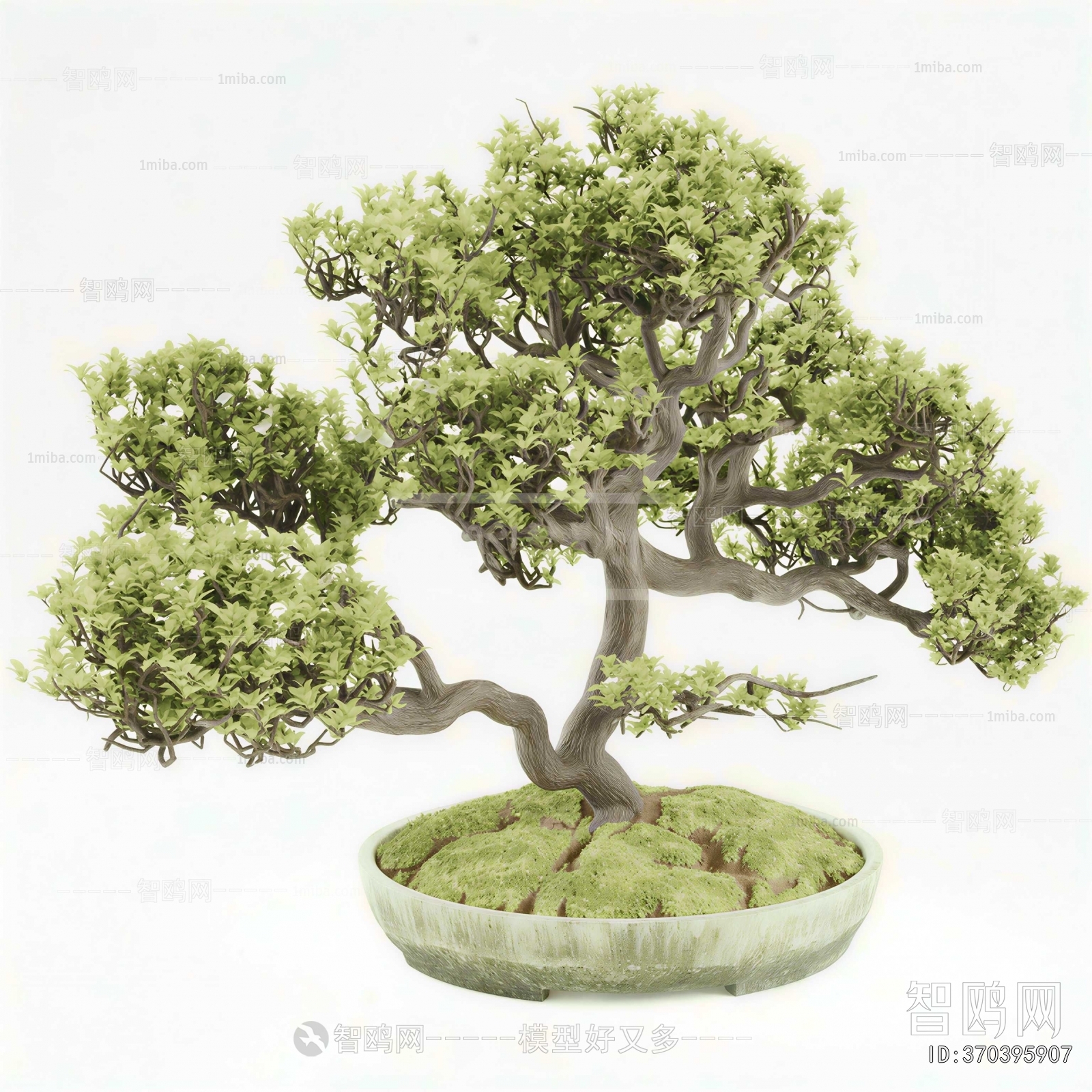 New Chinese Style Bonsai