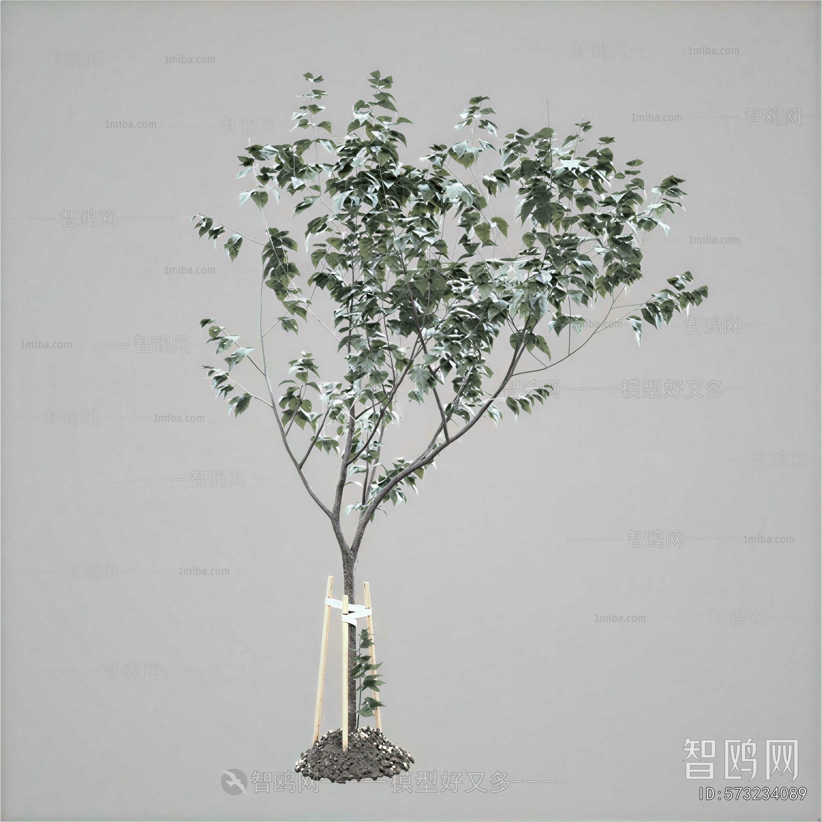 Modern Aquatic Green Plant