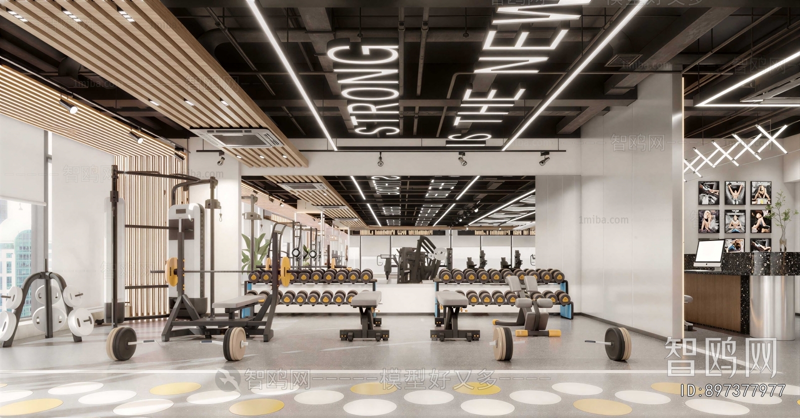 Modern Gym