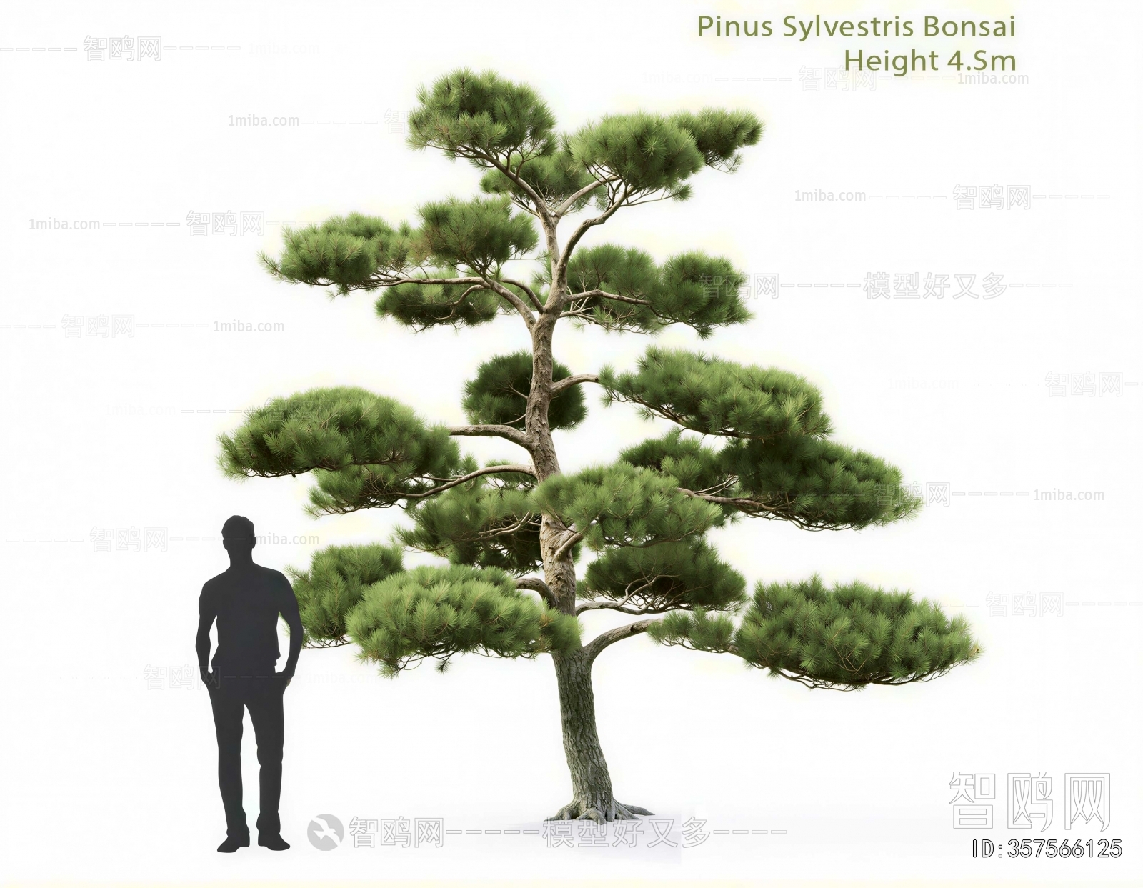Modern Tree