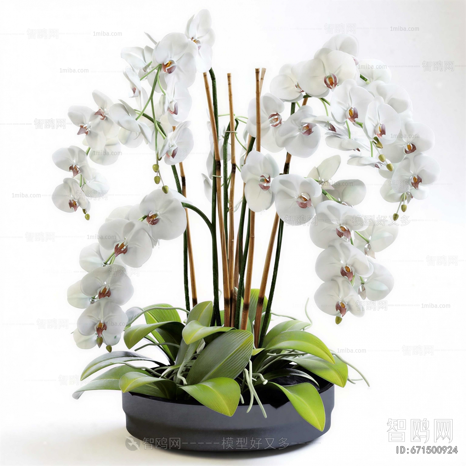 Modern Potted Green Plant