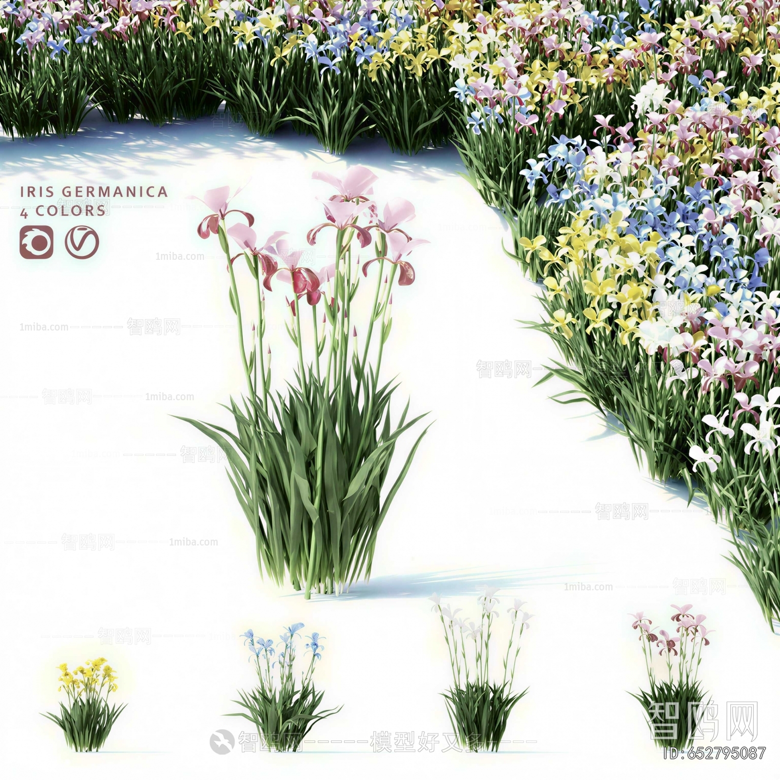 Modern Flowers And Grass