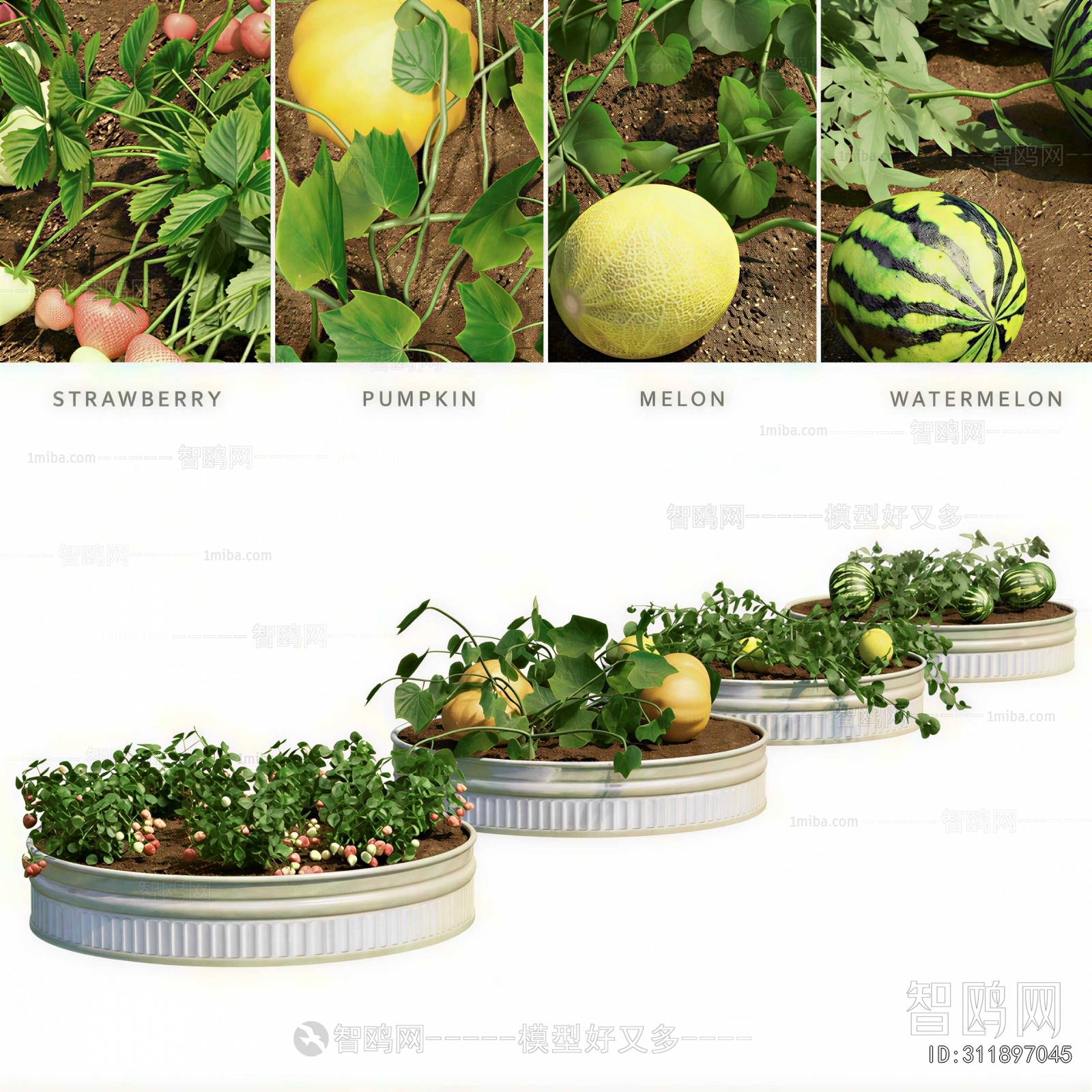 Modern Fruit