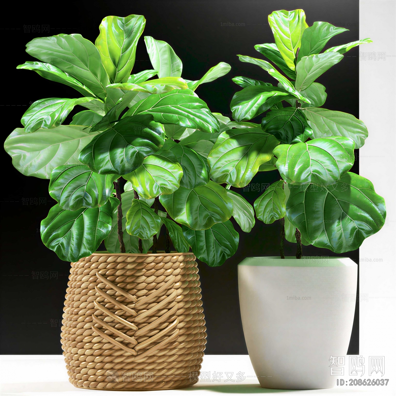 Modern Ground Green Plant Potted Plants