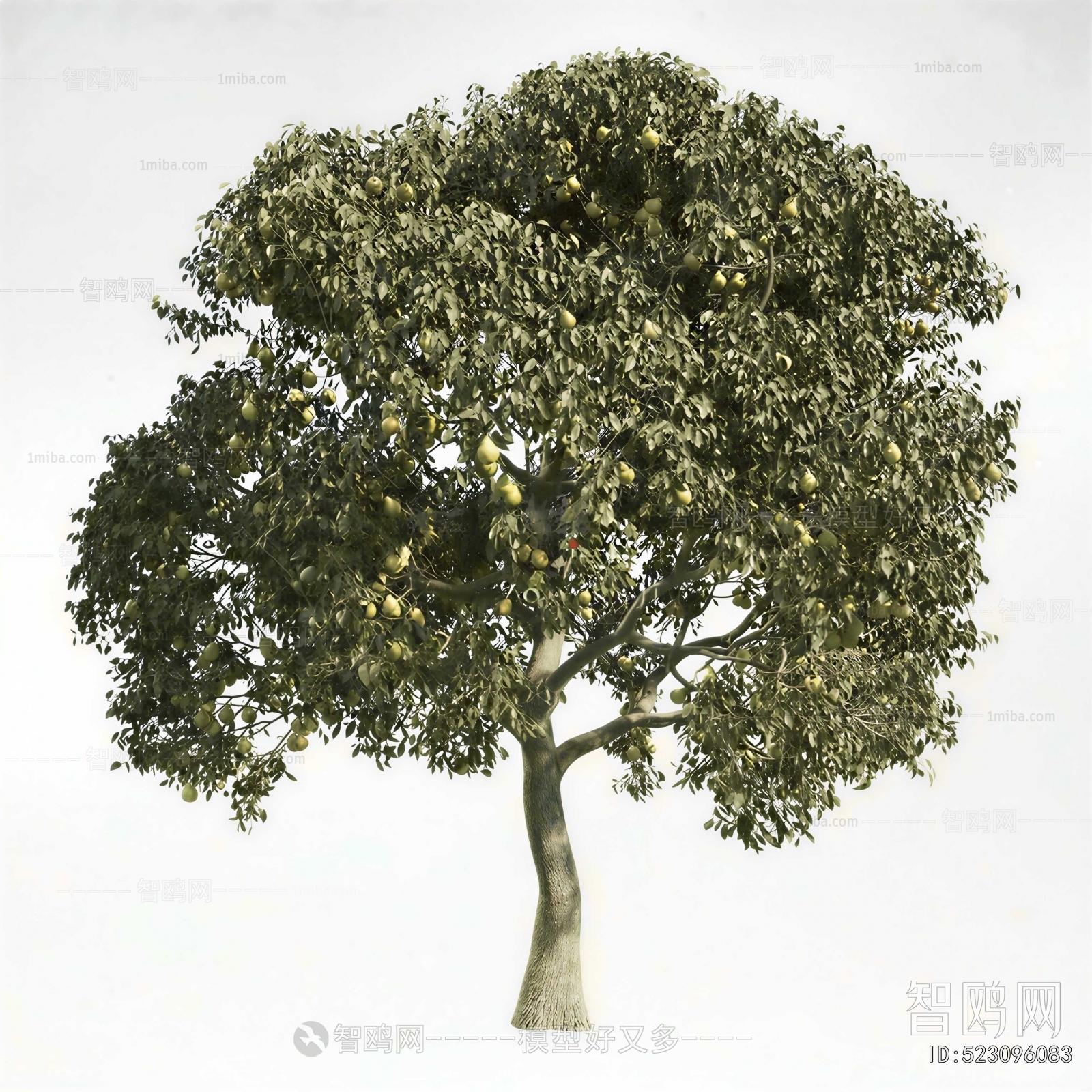 Modern Tree
