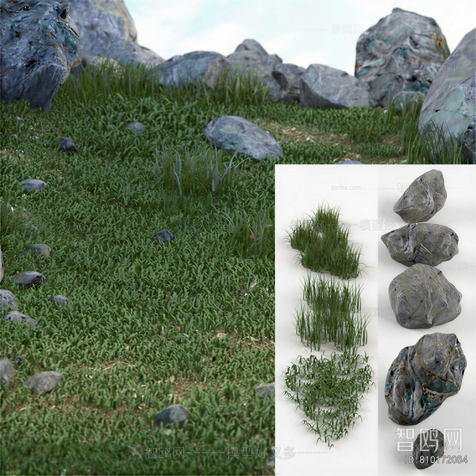 Modern The Grass