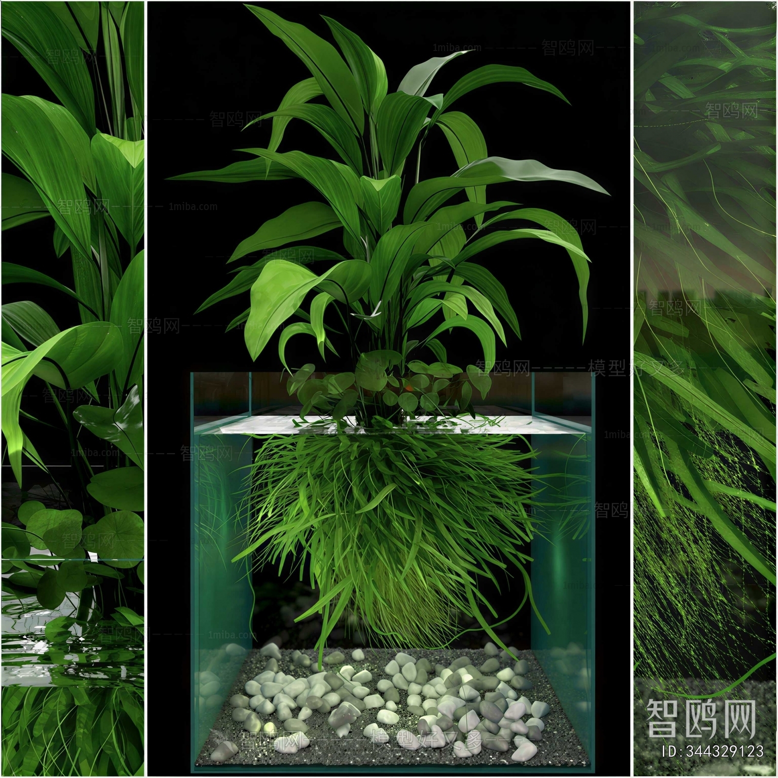 Modern Fish Tank