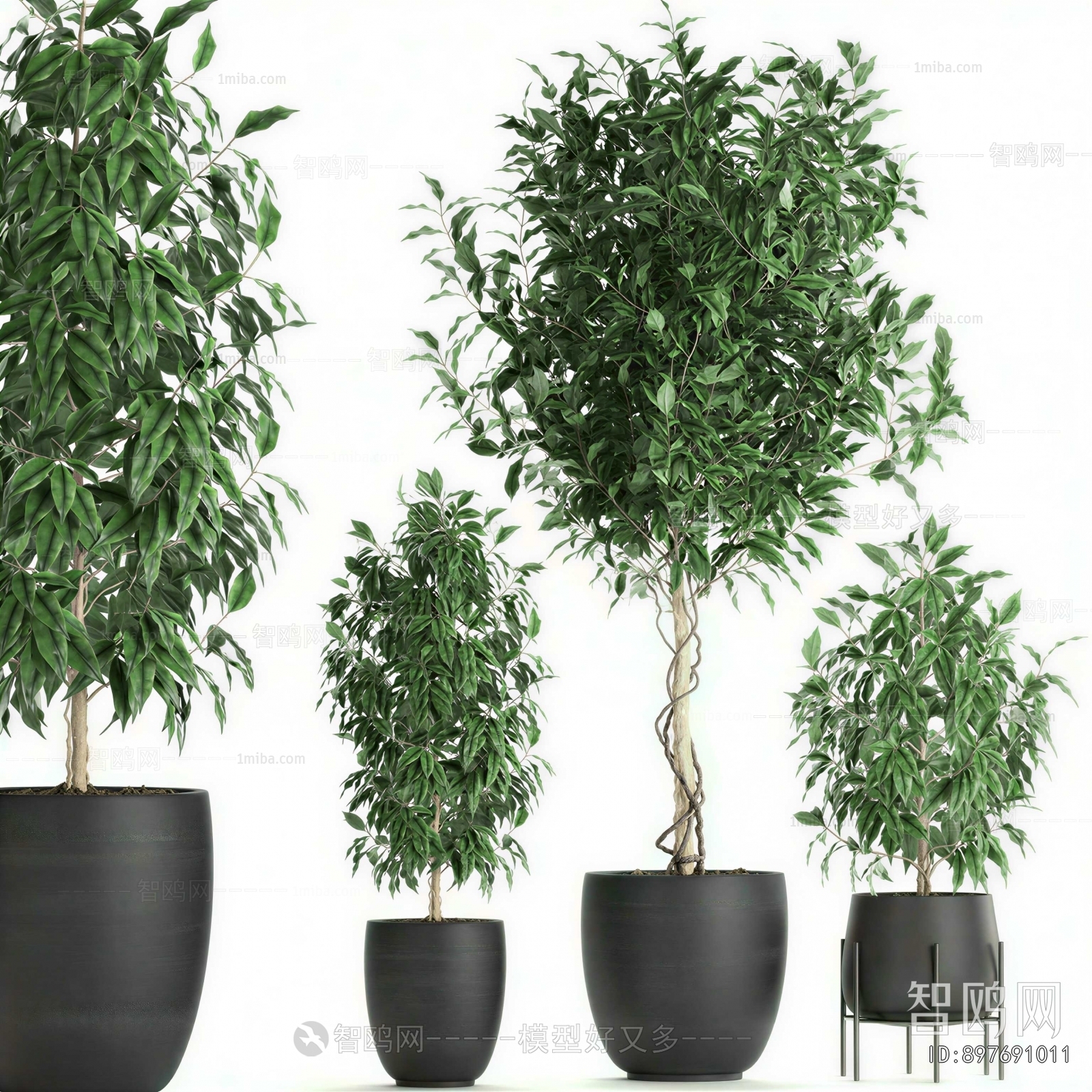 Modern Ground Green Plant Potted Plants