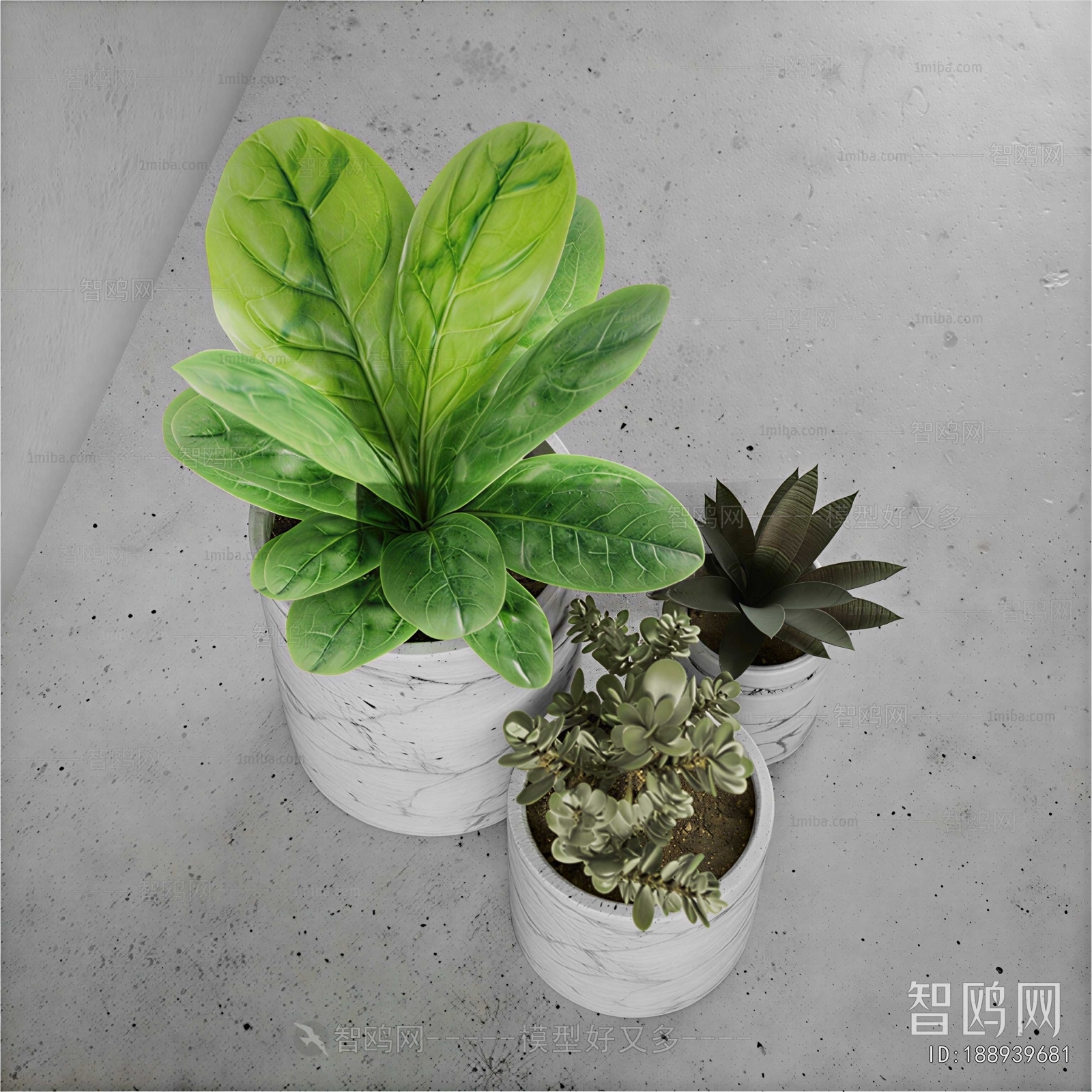 Modern Ground Green Plant Potted Plants