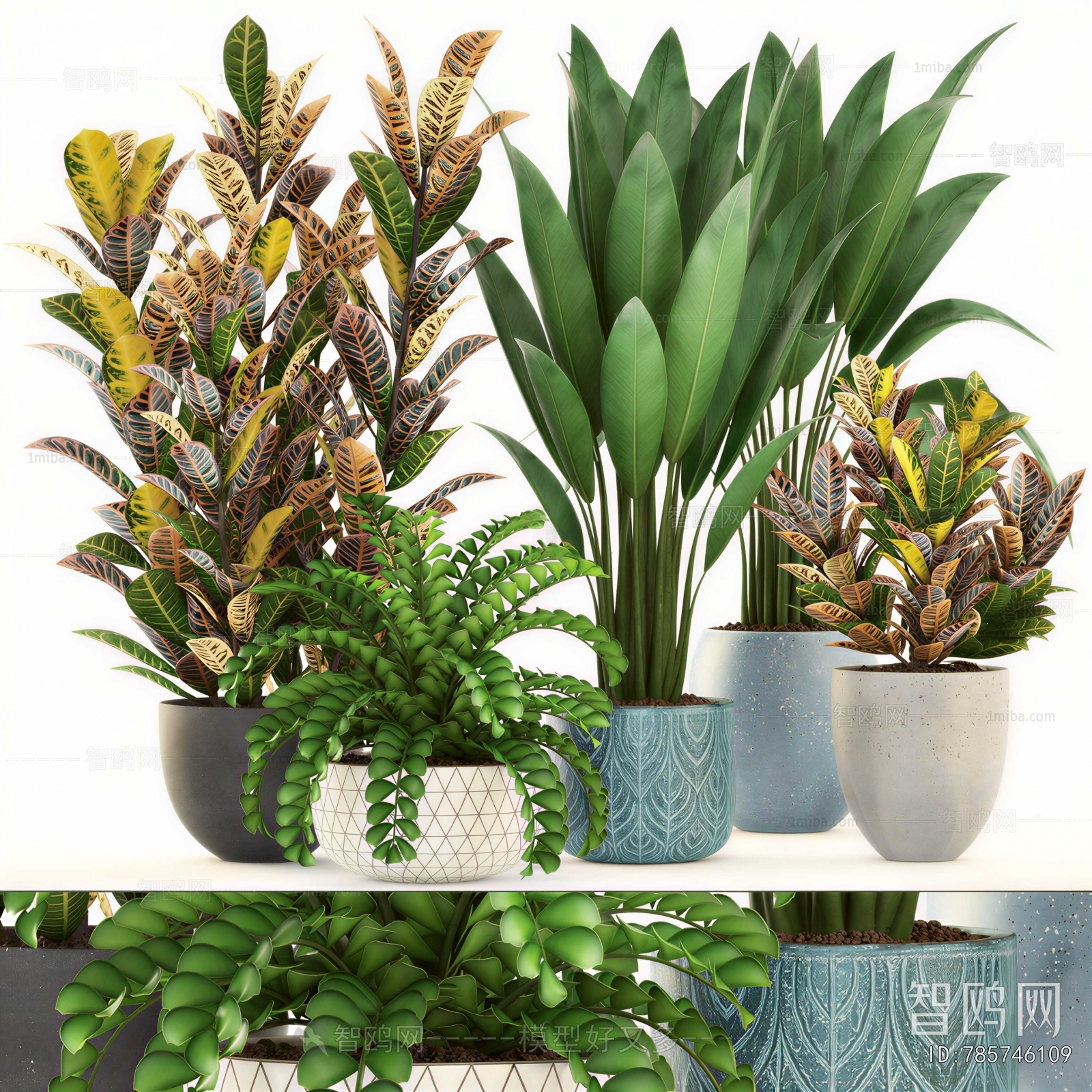 Modern Ground Green Plant Potted Plants