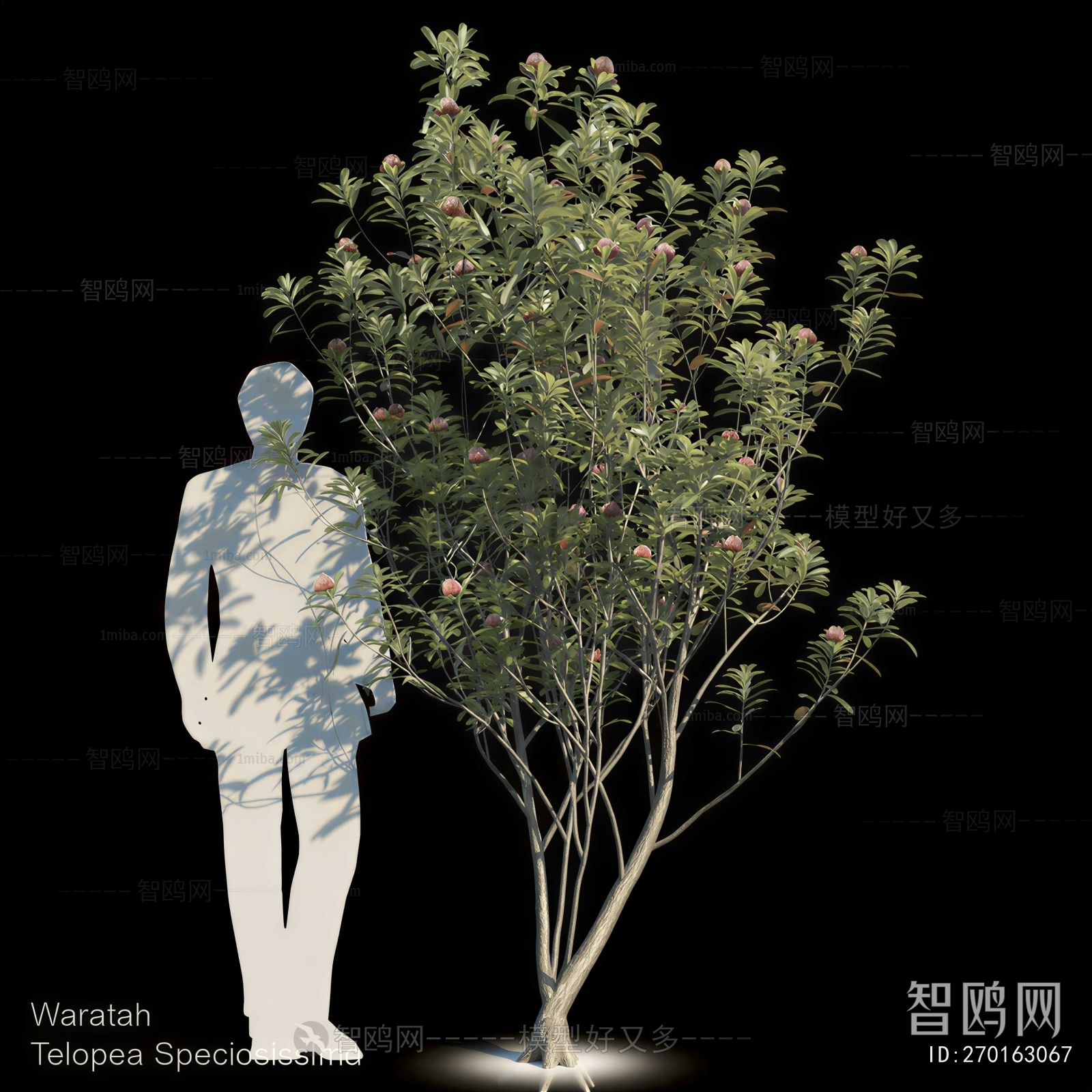 Modern Tree
