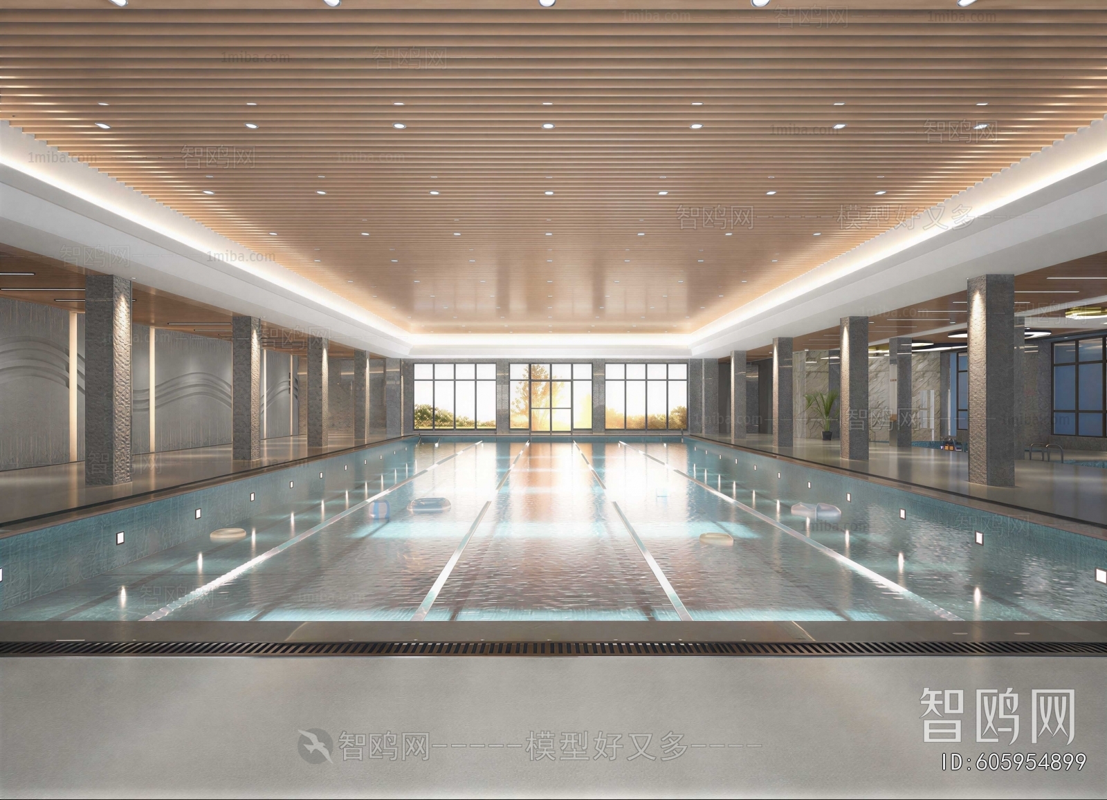 Modern Natatorium