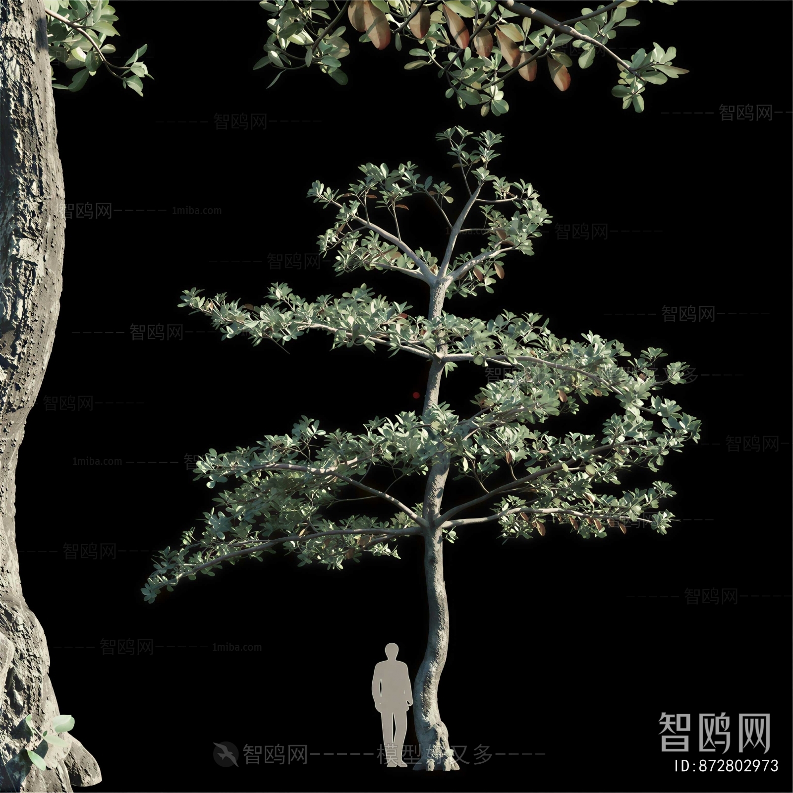 Modern Tree
