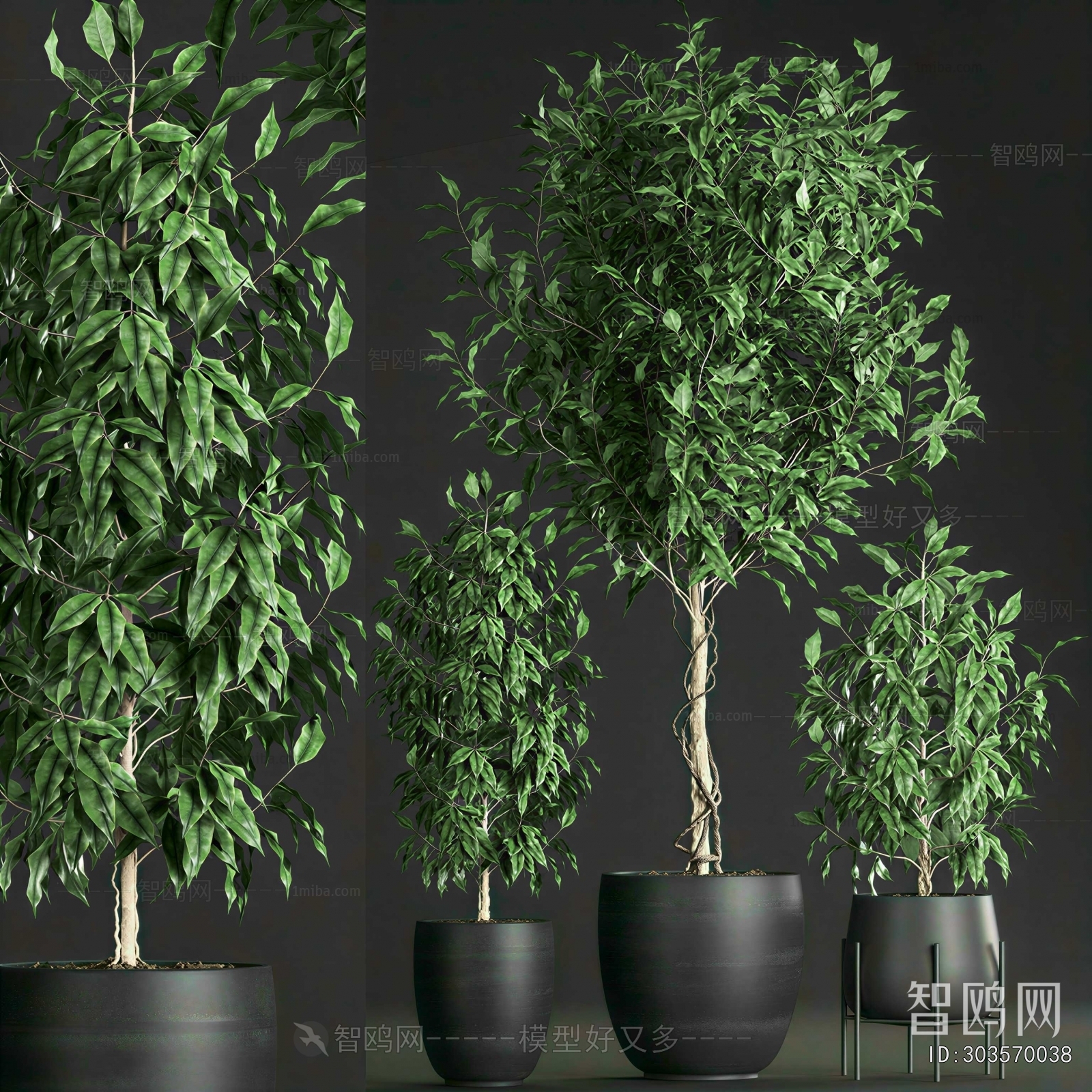 Modern Ground Green Plant Potted Plants