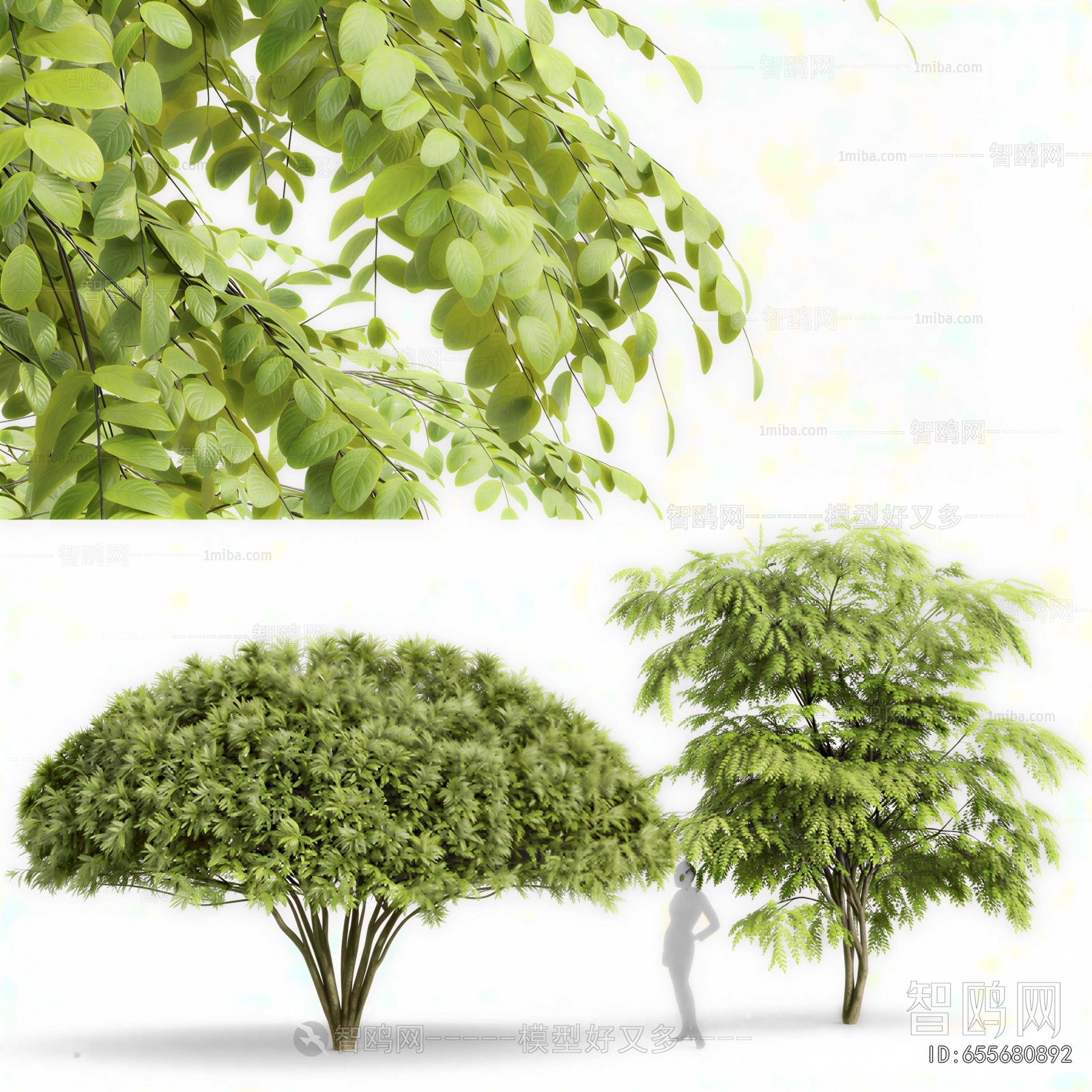 Modern Shrubbery