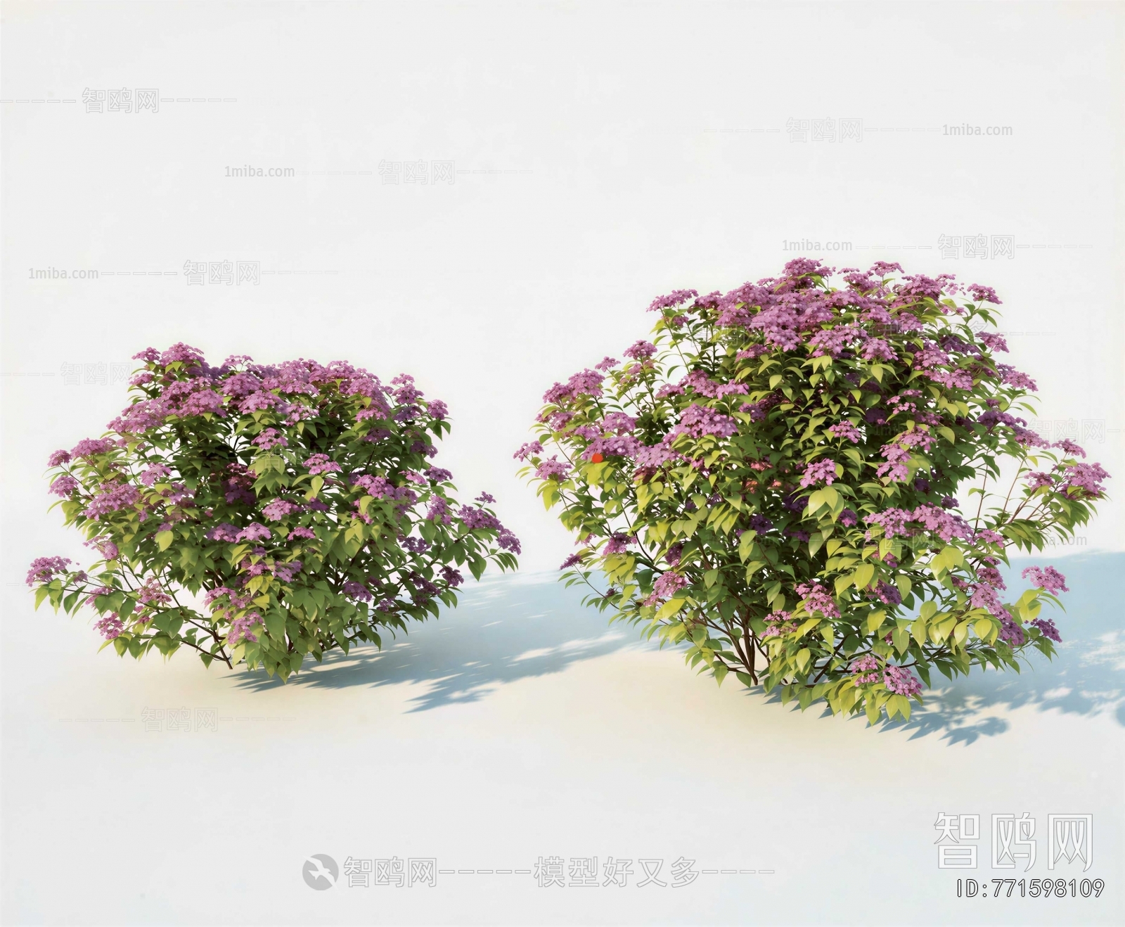 Modern Shrubbery