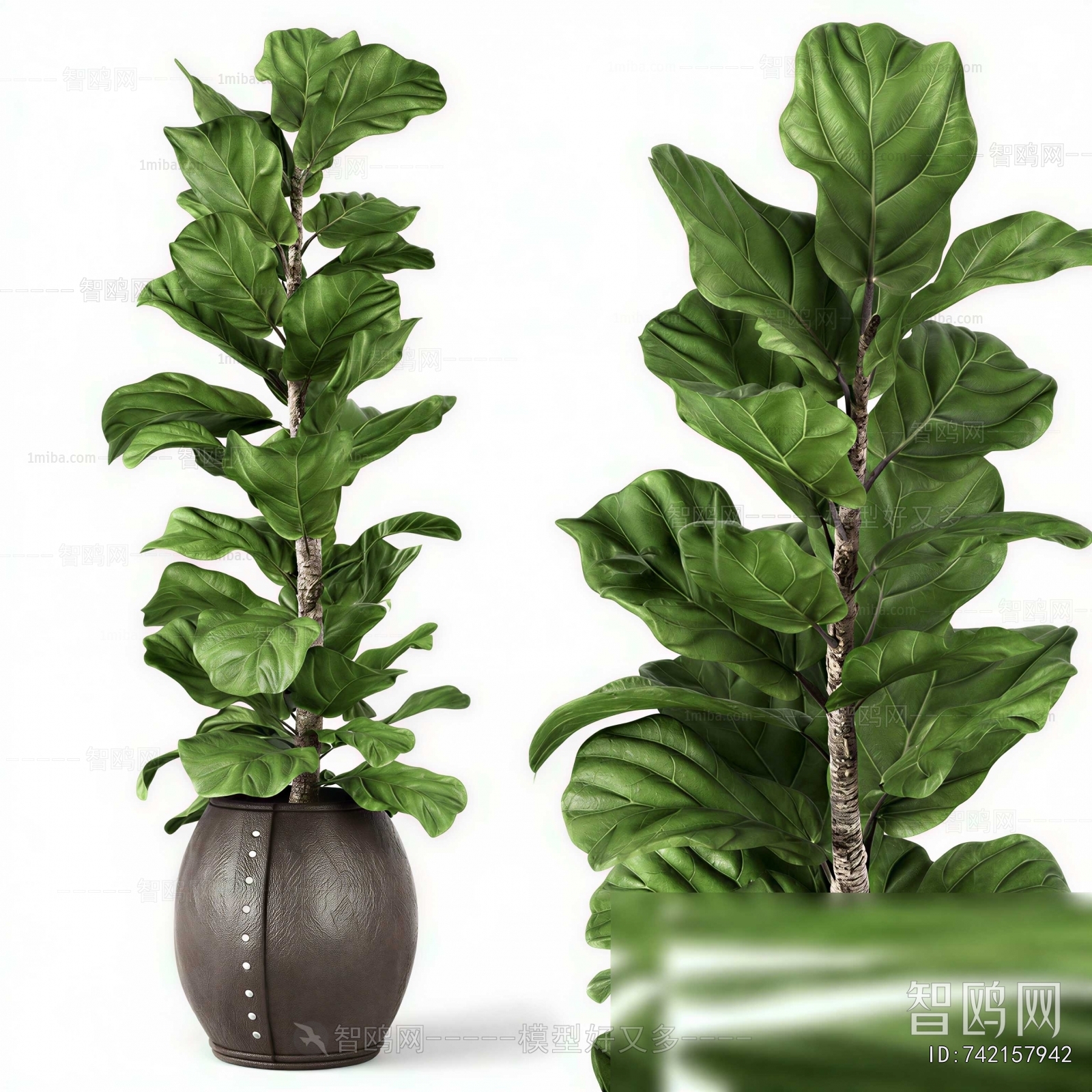 Modern Ground Green Plant Potted Plants