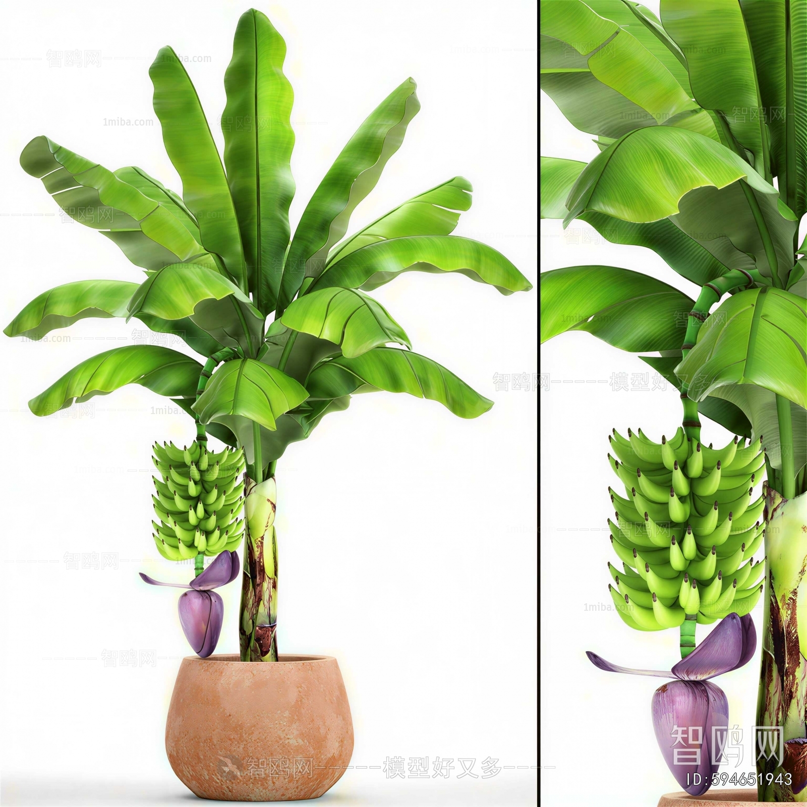 Modern Ground Green Plant Potted Plants