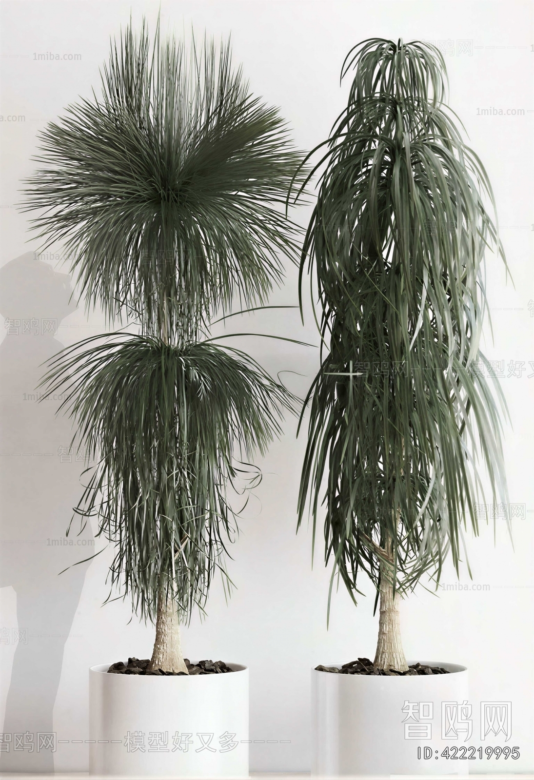 Modern Ground Green Plant Potted Plants
