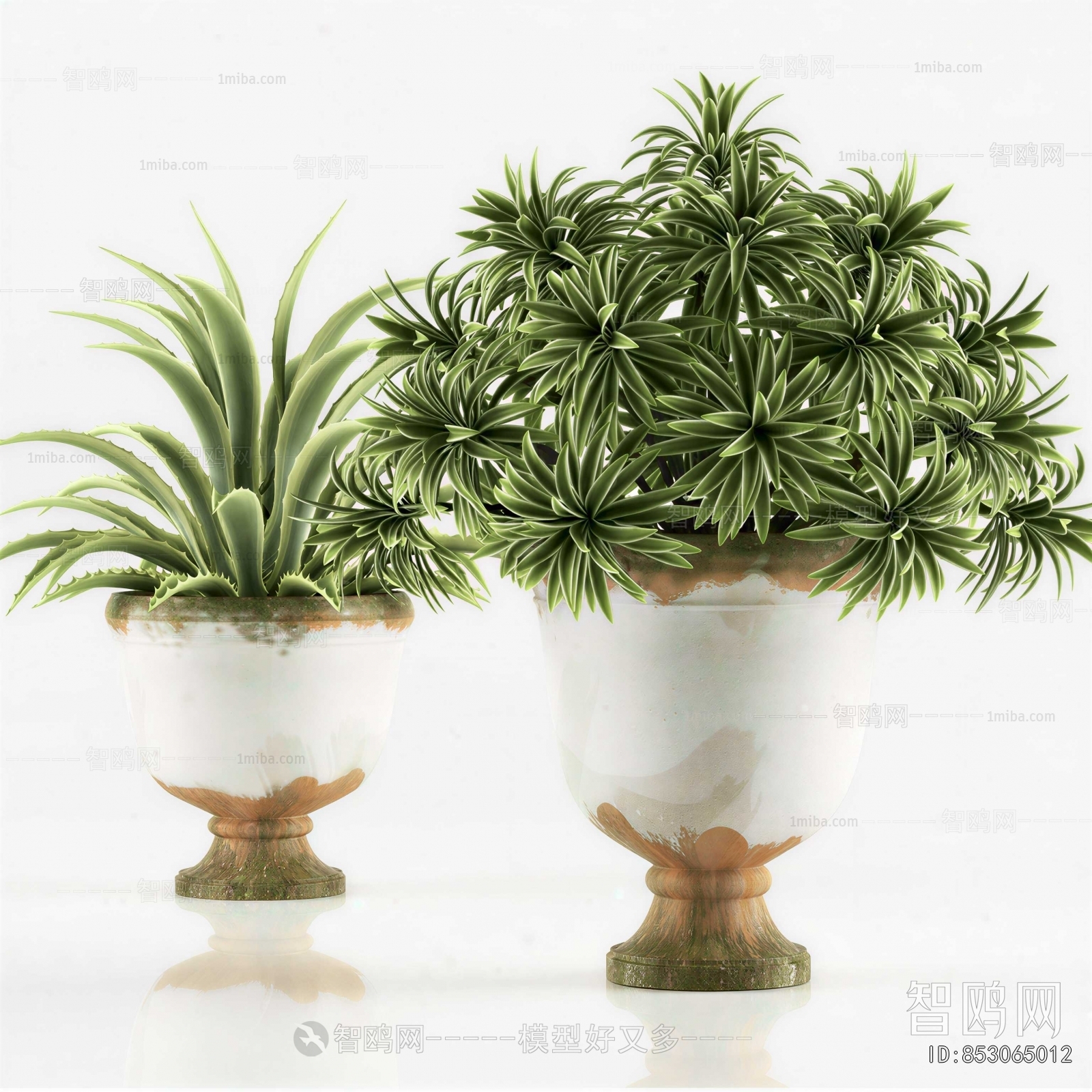 Modern Potted Green Plant