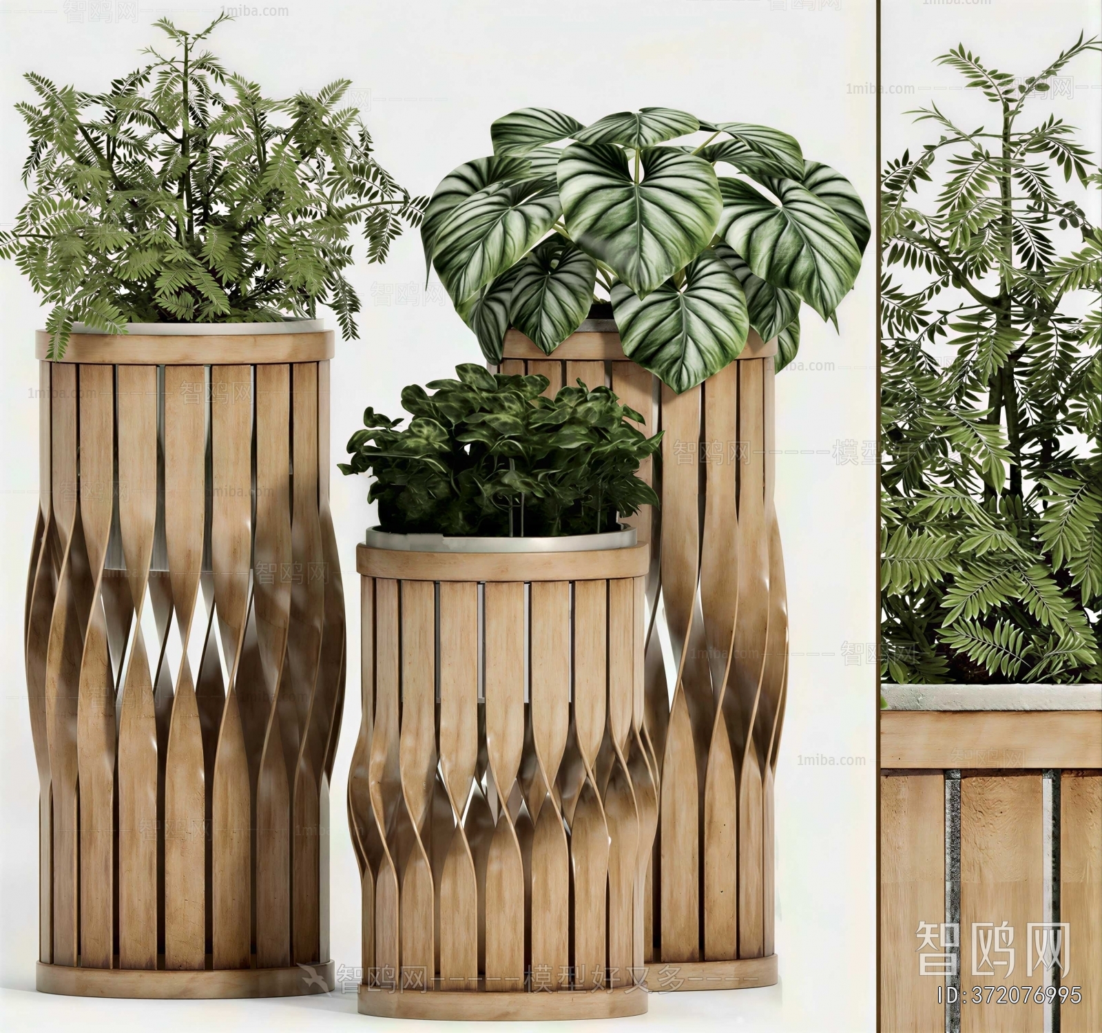 Modern Ground Green Plant Potted Plants