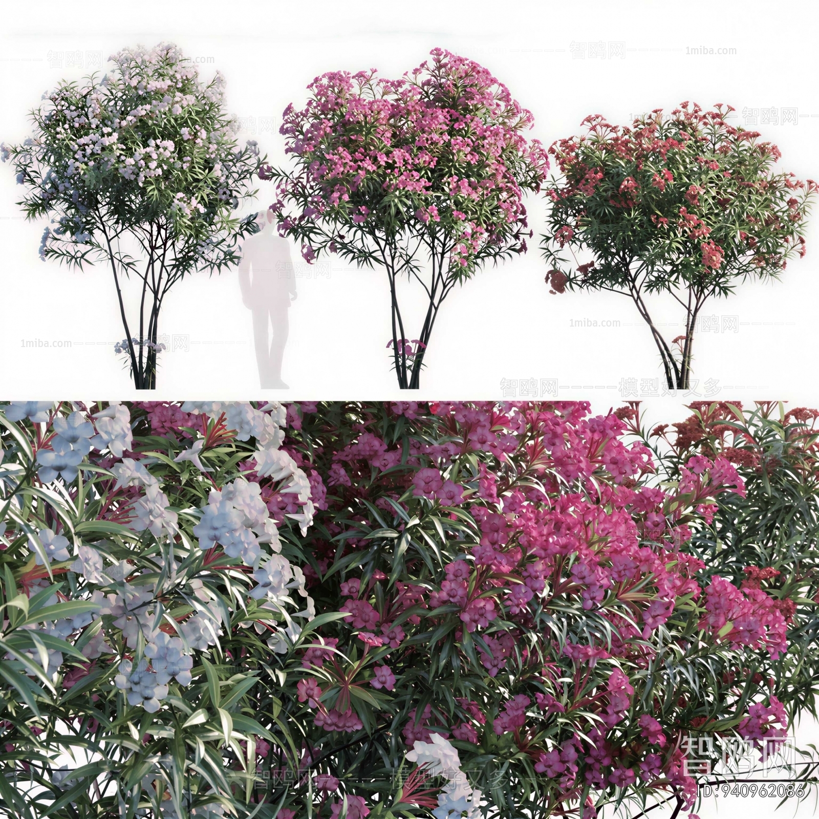 Modern Shrubbery