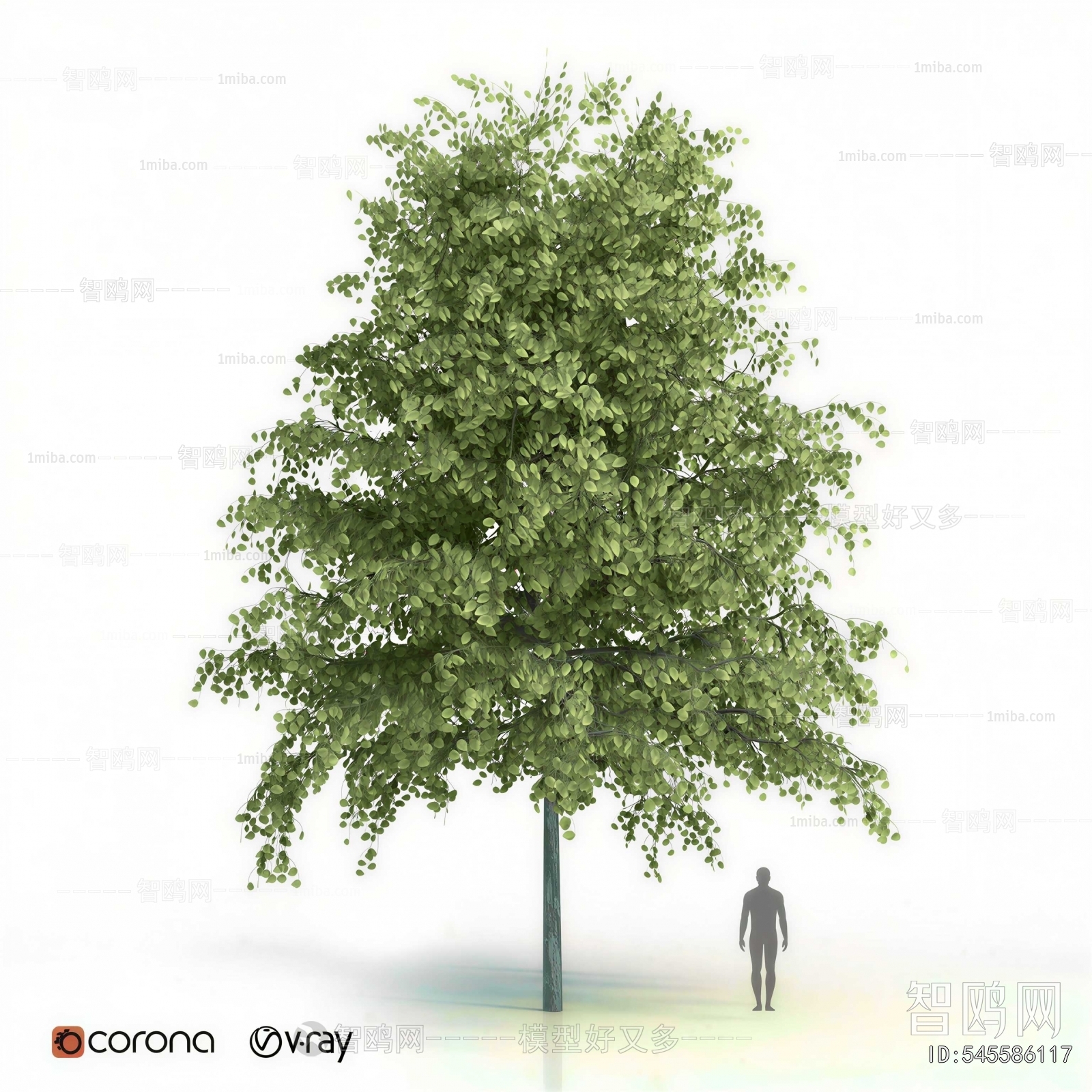 Modern Tree/shrub/grass