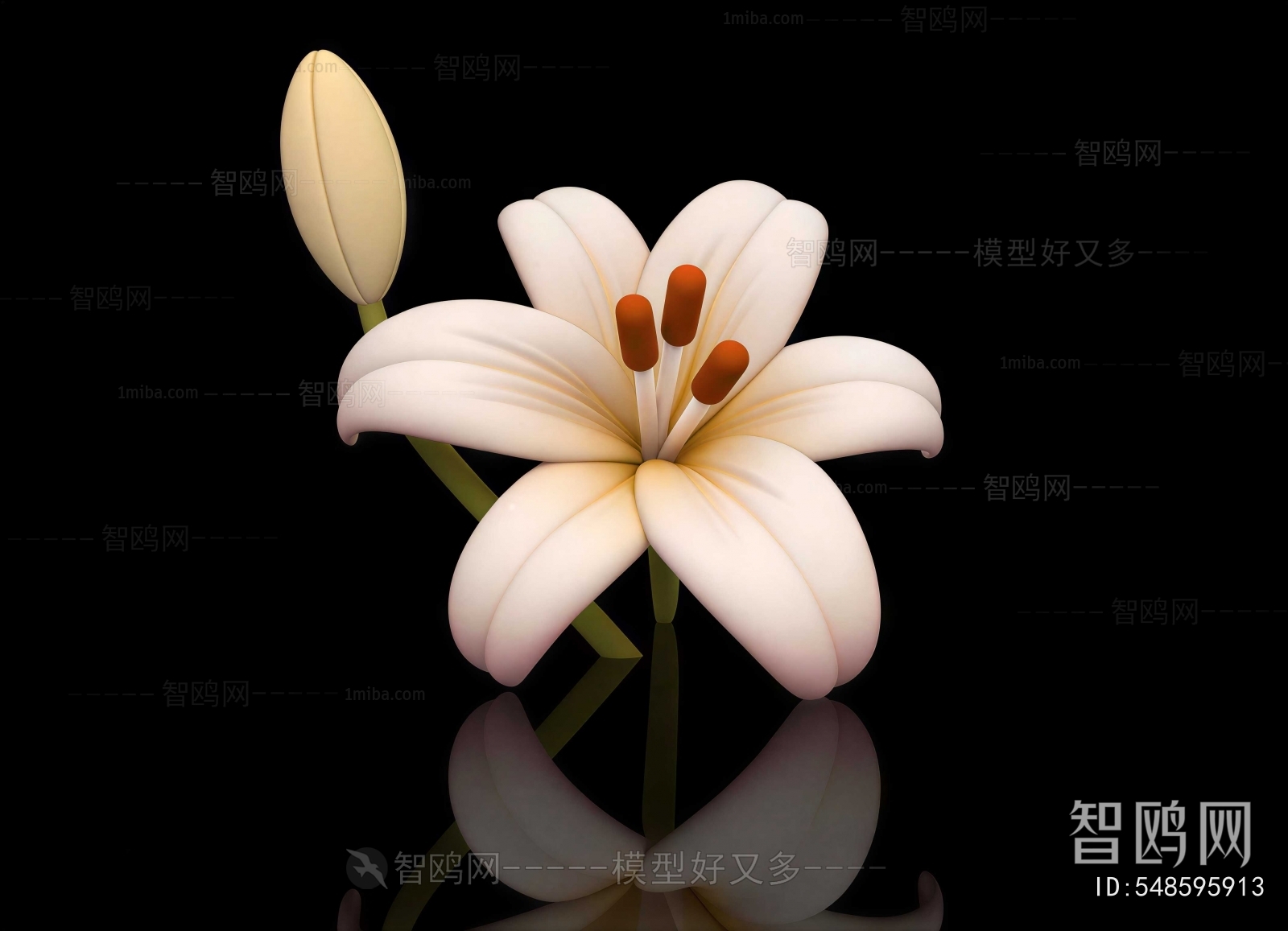 Modern Flowers And Grass