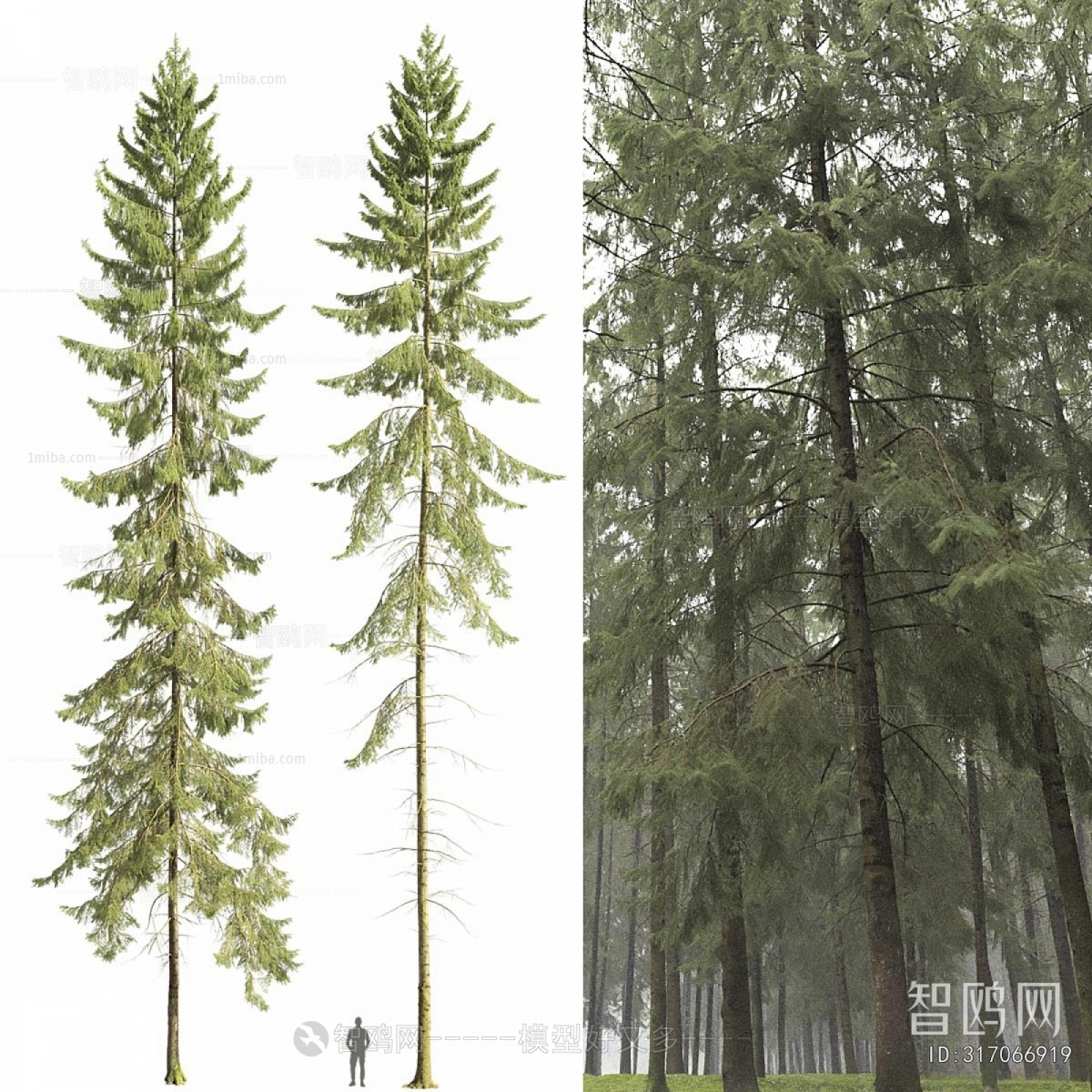 Modern Tree