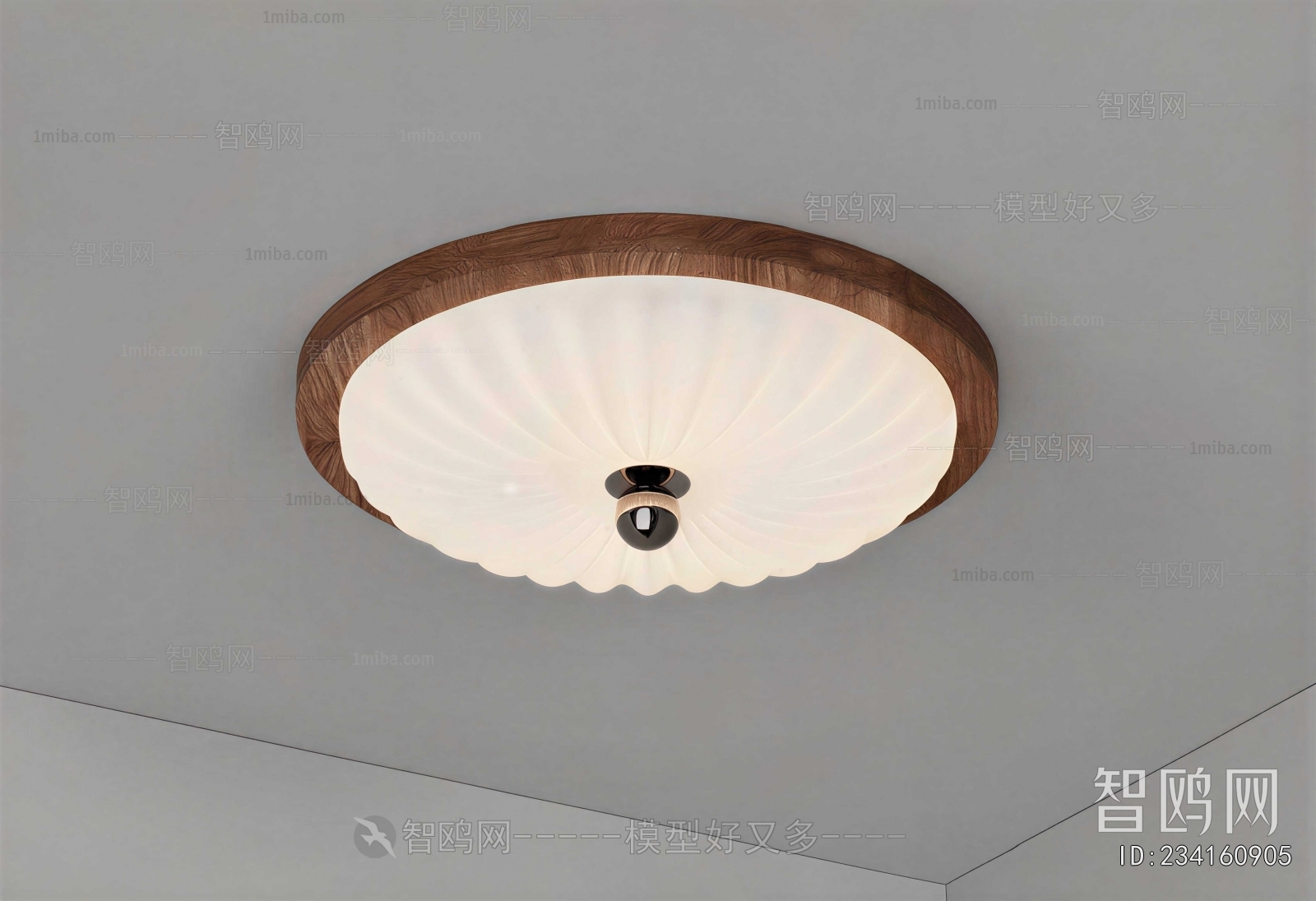 Modern Ceiling Ceiling Lamp