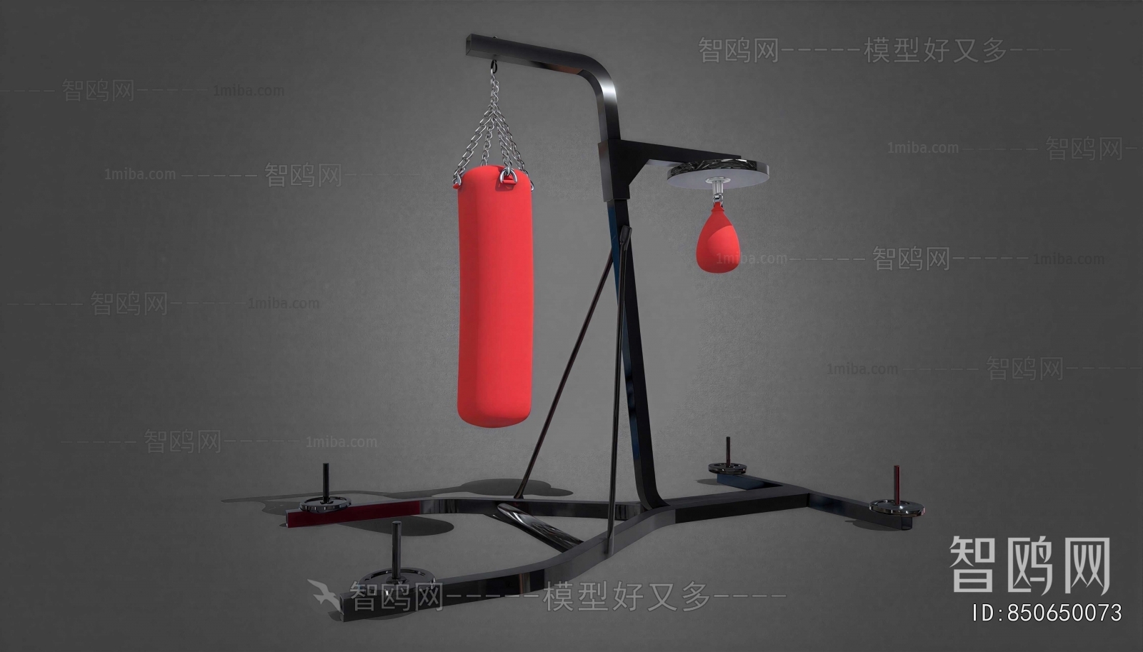 Modern Fitness Equipment