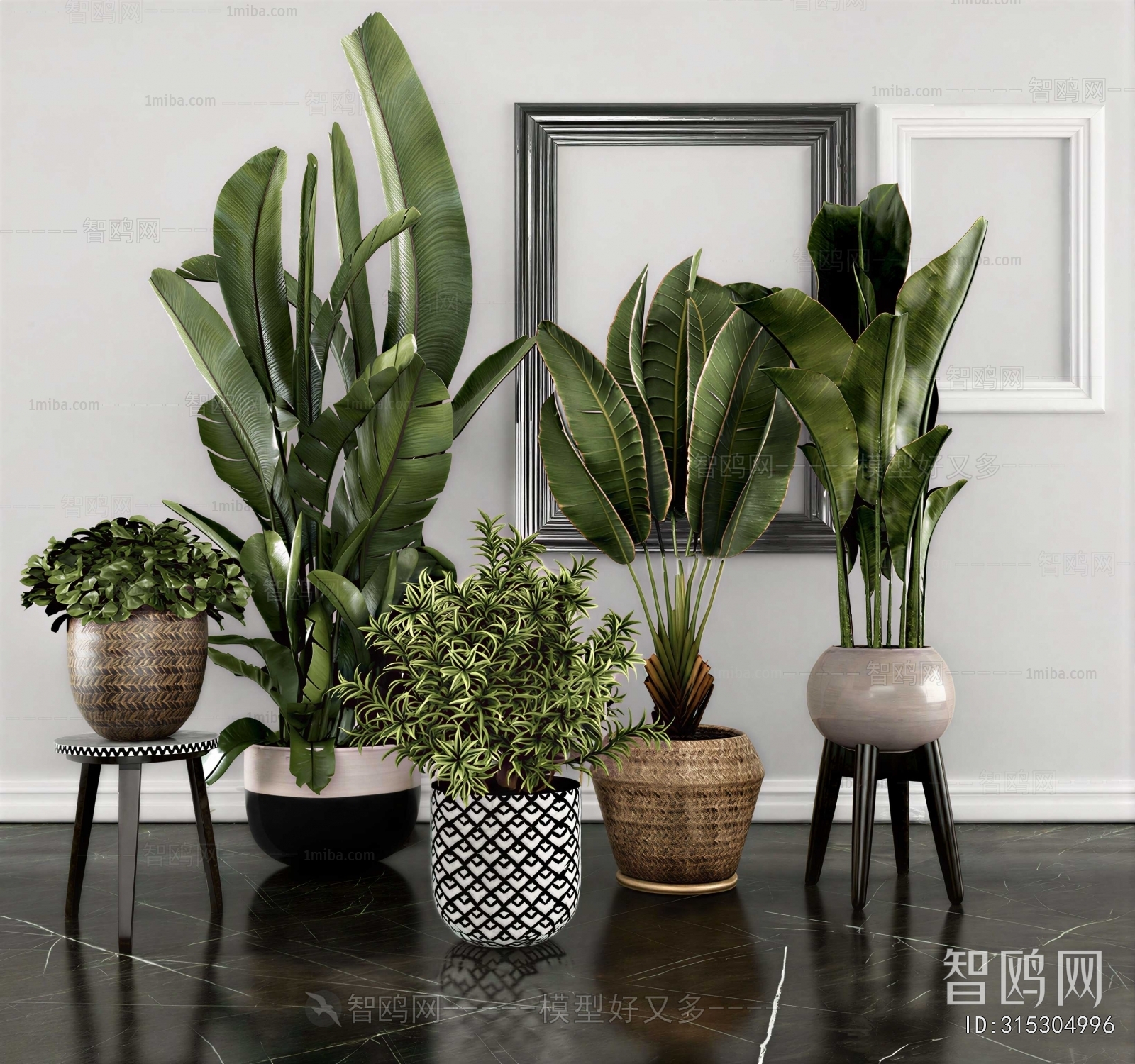 Modern Ground Green Plant Potted Plants