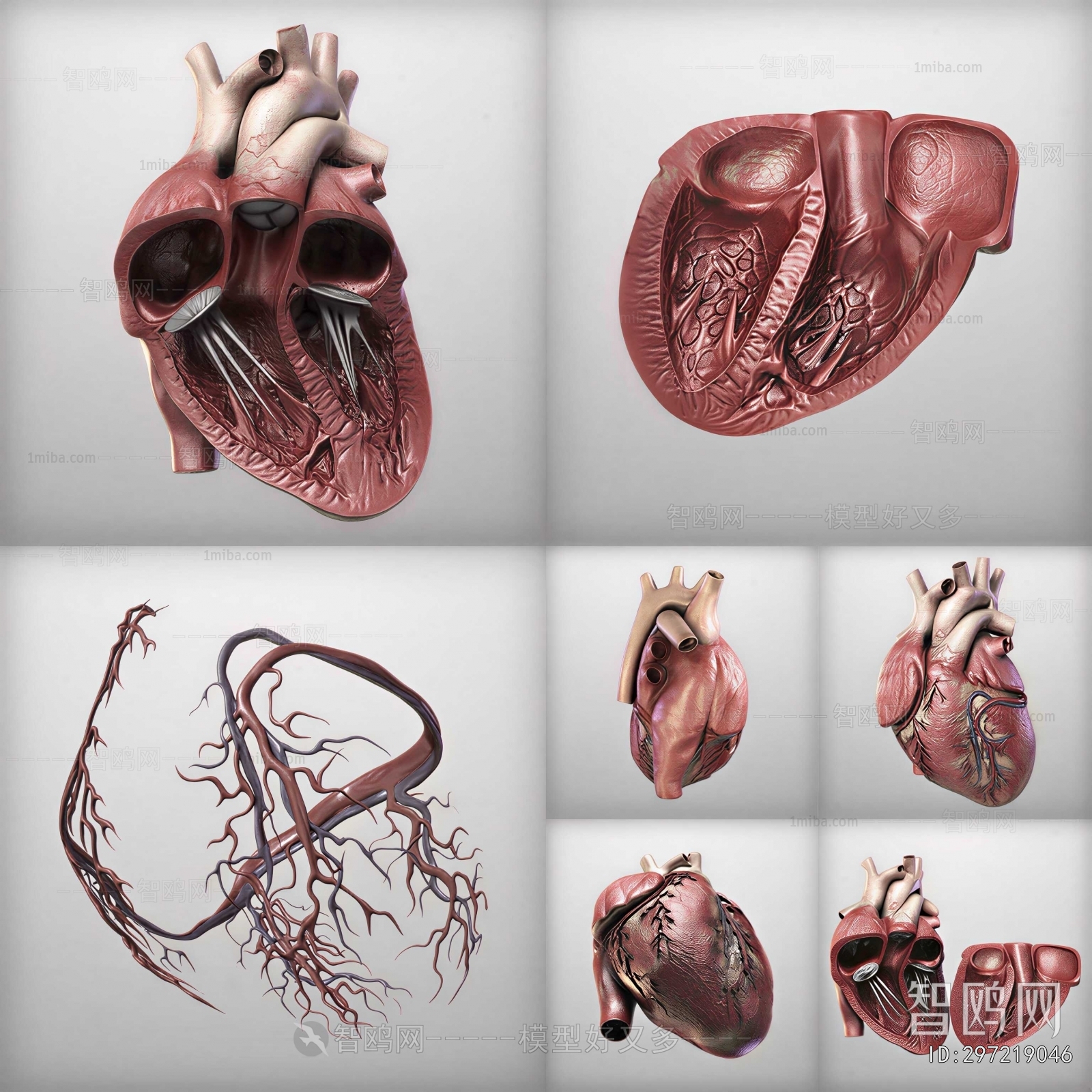 Modern Medical Equipment