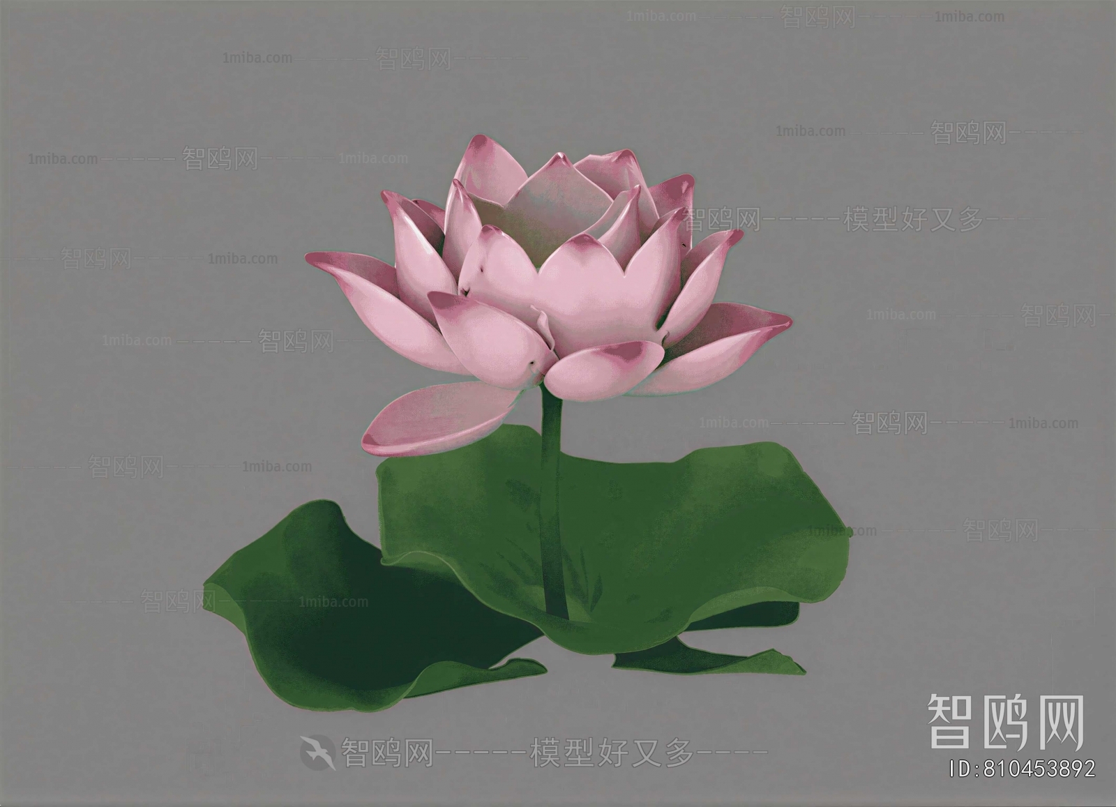 Modern Flowers And Grass