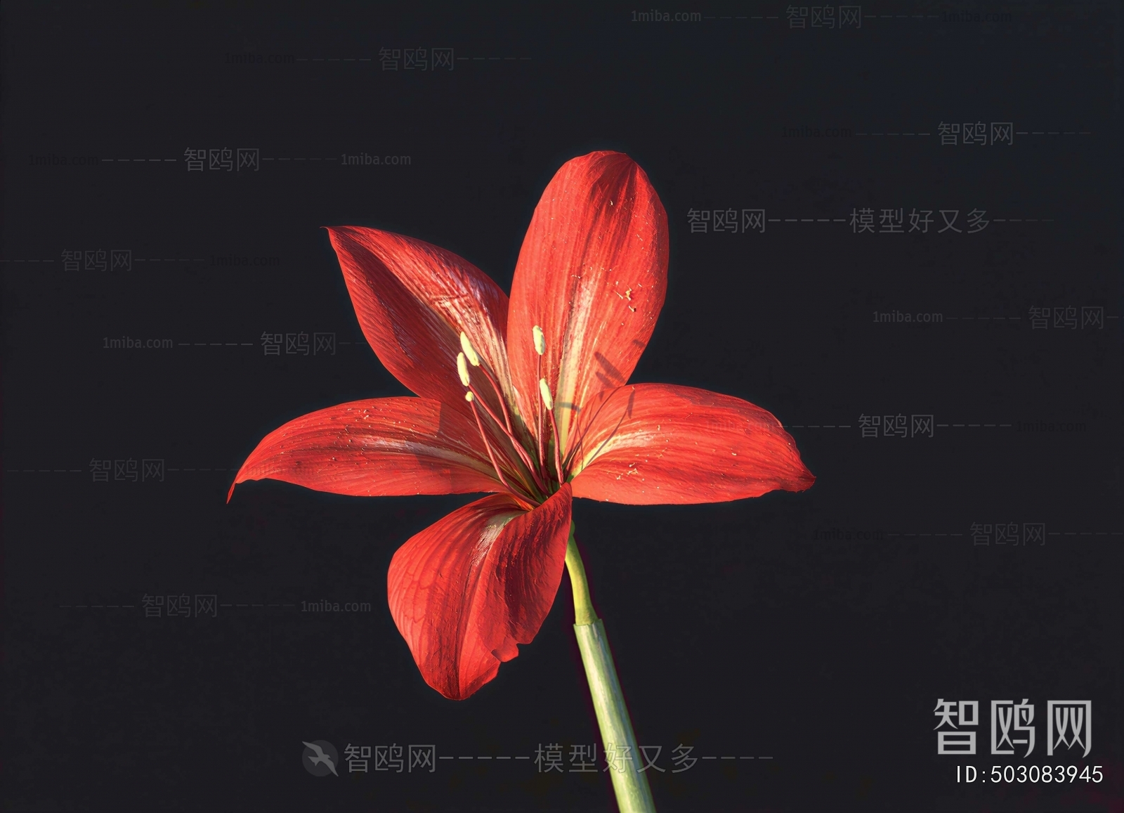 Modern Flowers And Grass