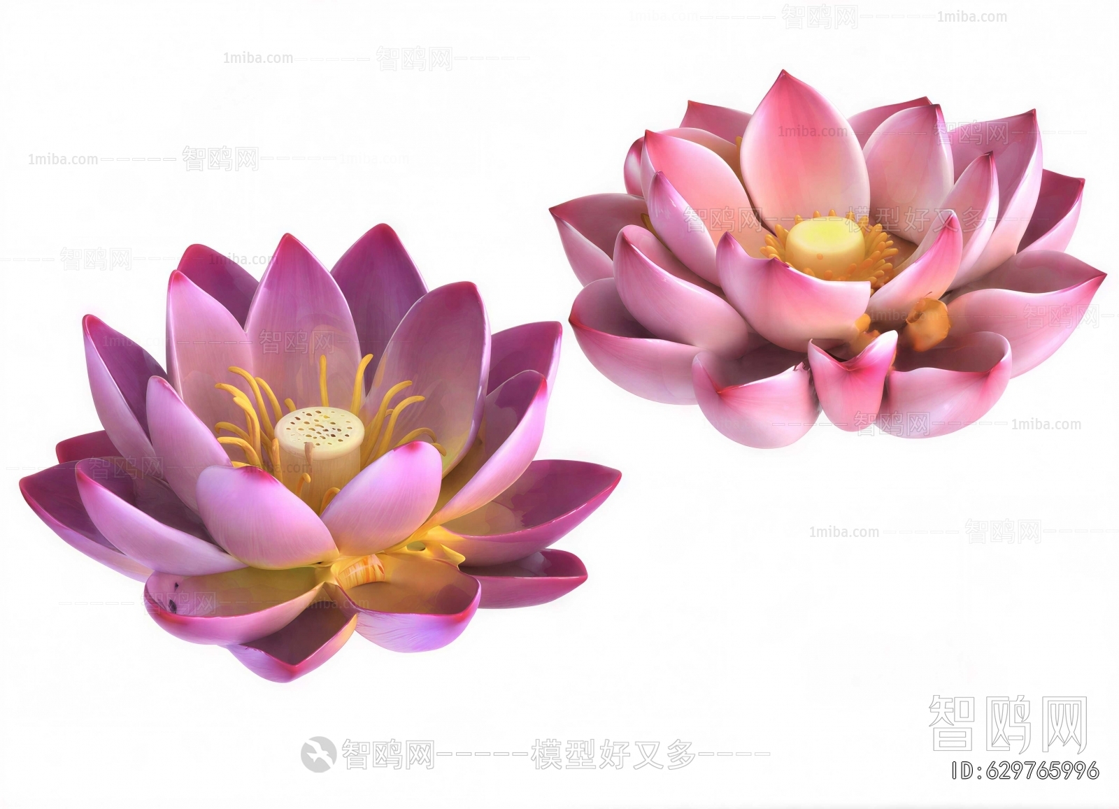 Modern Flowers And Grass